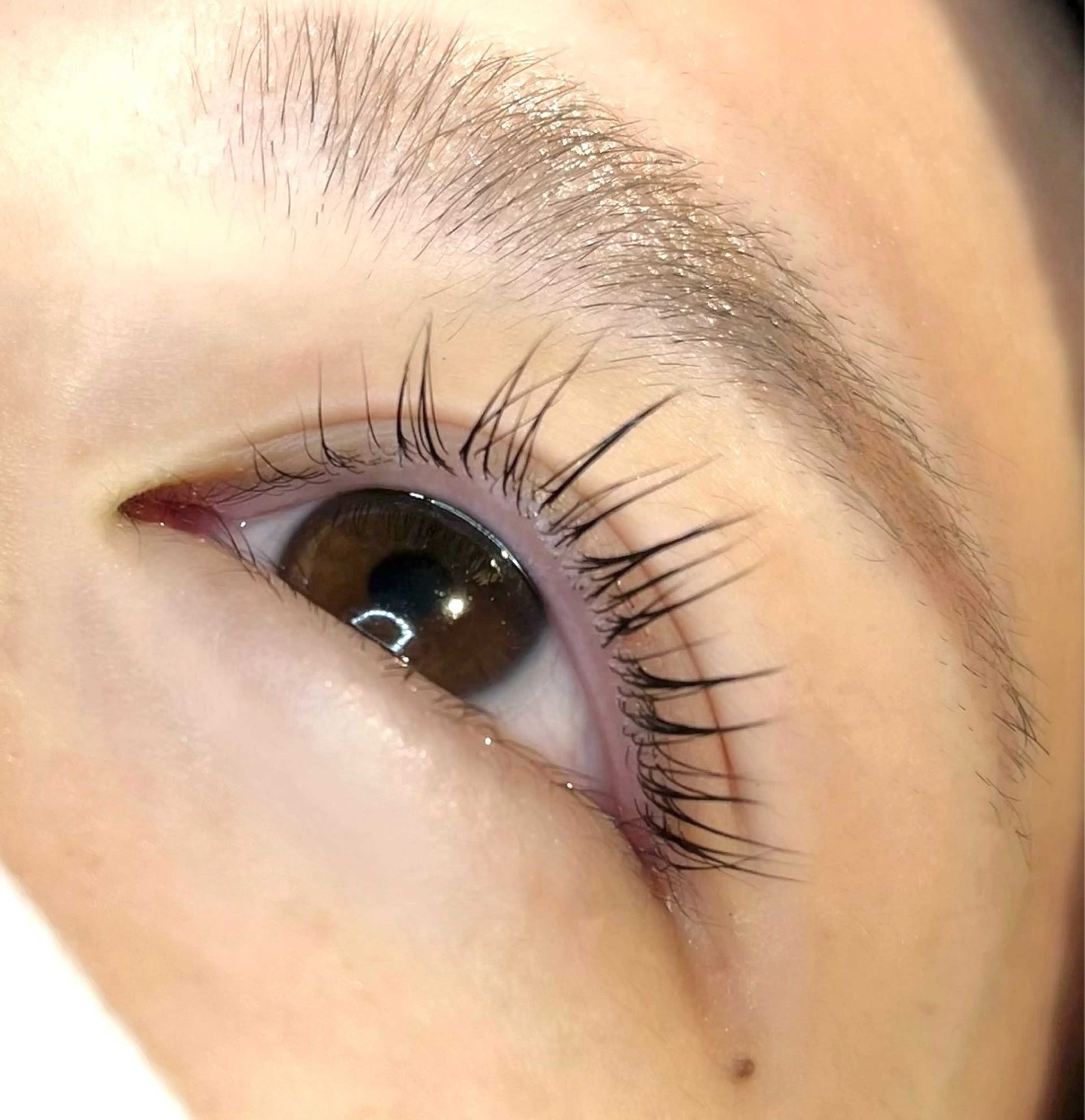 まつげパーマ(2回目以降)コーティング仕上げ付きの写真