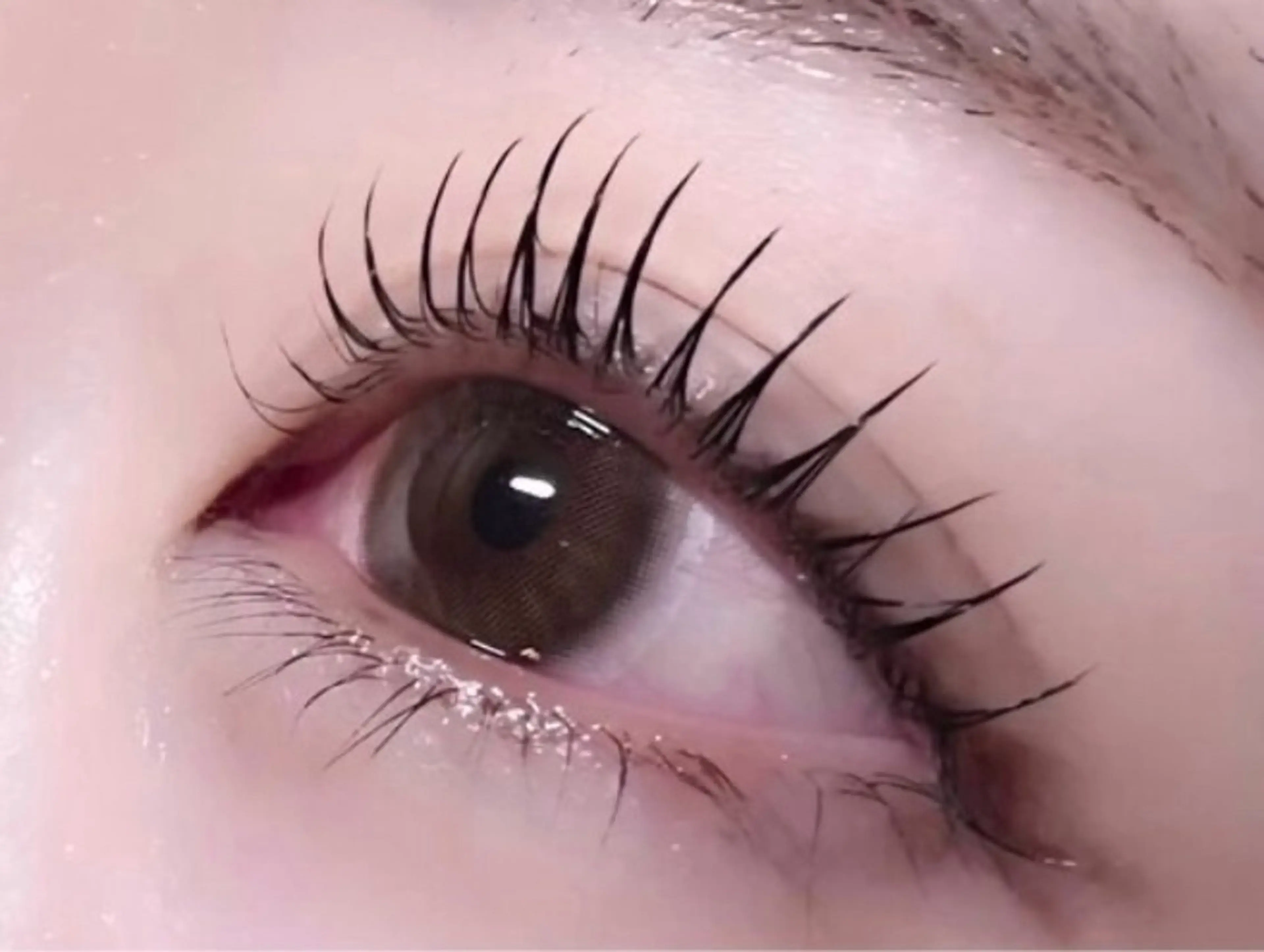 【モチがいい！】高濃度3Stepまつ毛パーマの写真