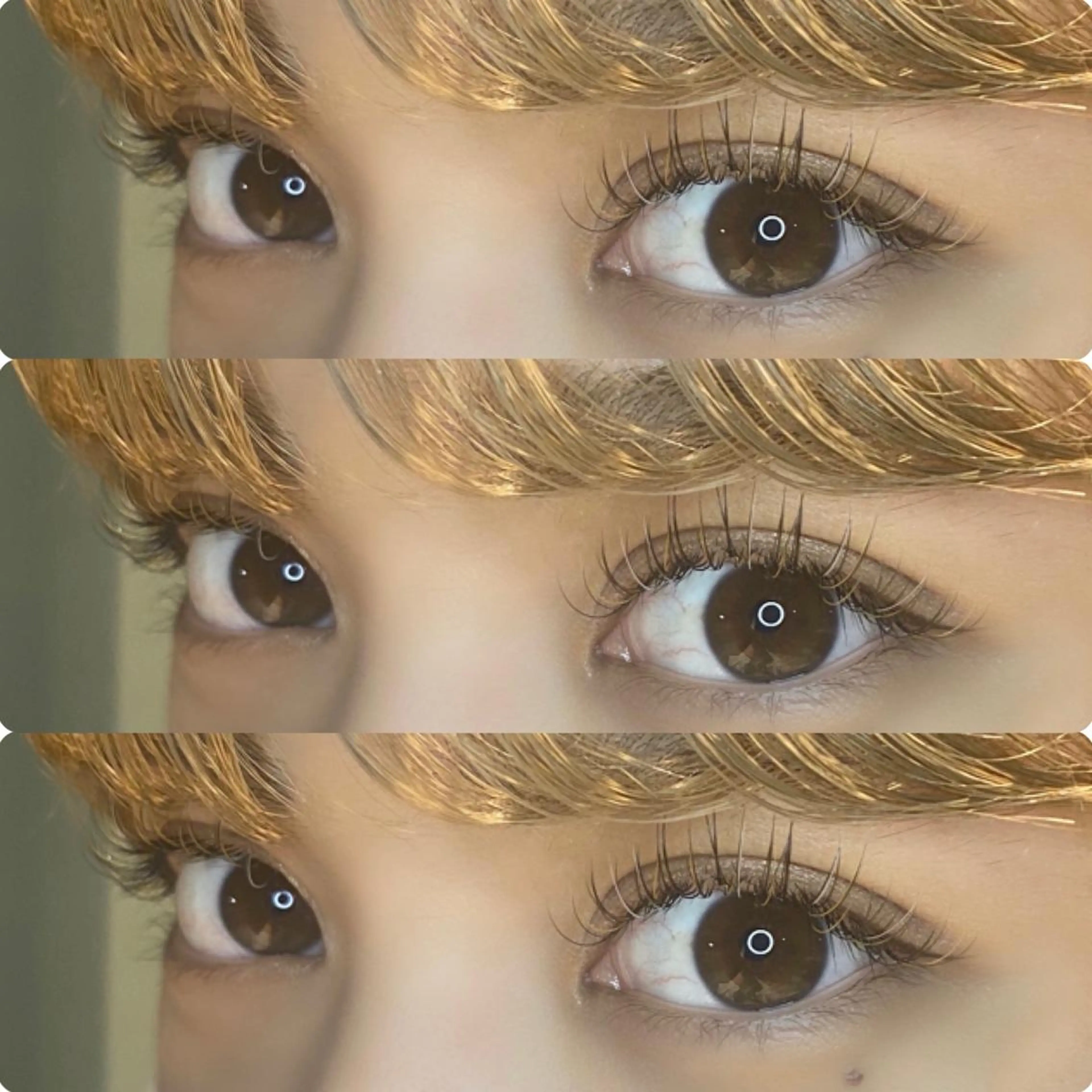 マツエク・マツパ カラーマツエク 【LILY】伊沢/ バインド/パリ/エクのマツエク・マツパデザイン