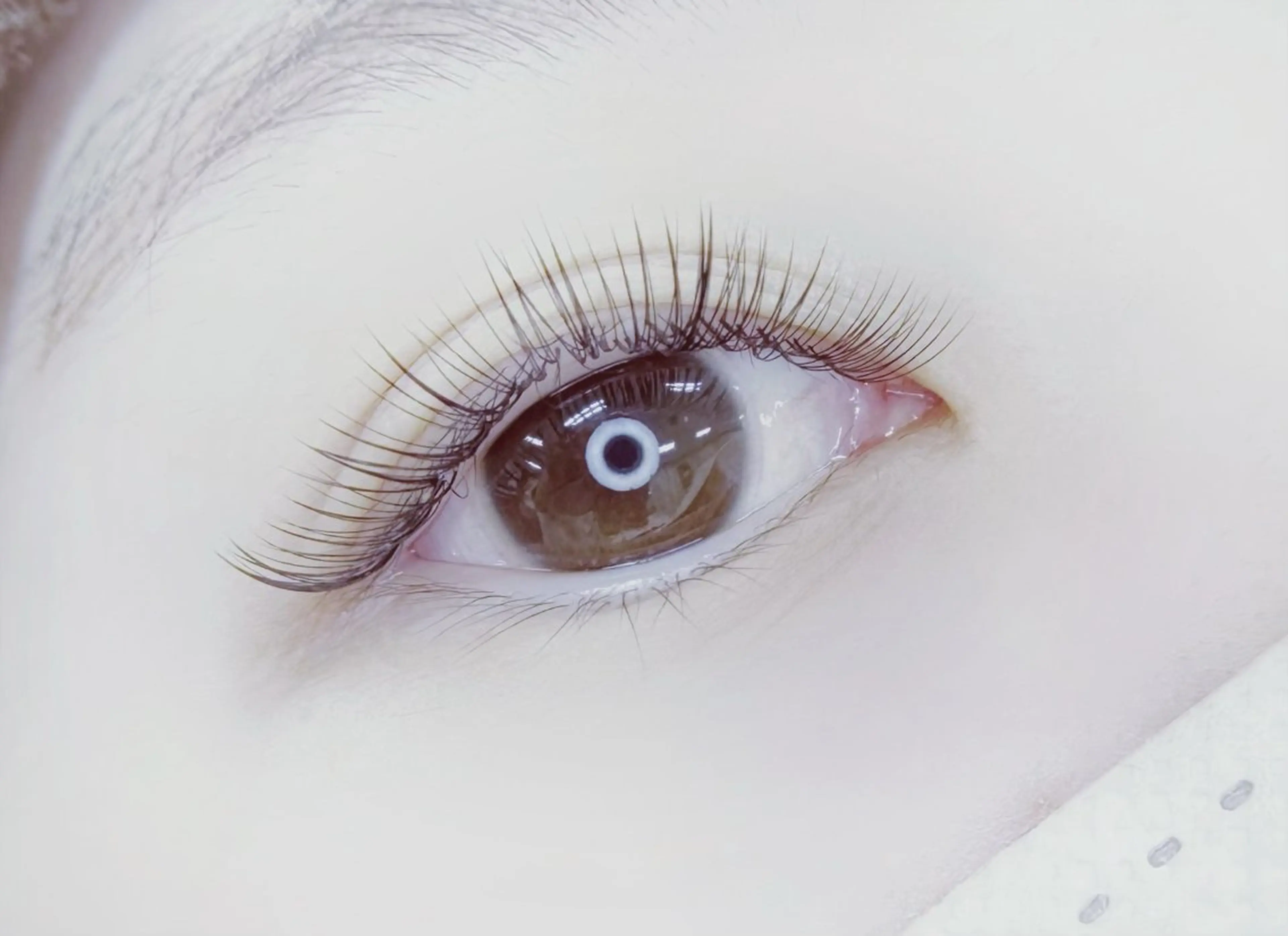 マツエク・マツパ MIGNON 当日予約のみのマツエク・マツパデザイン