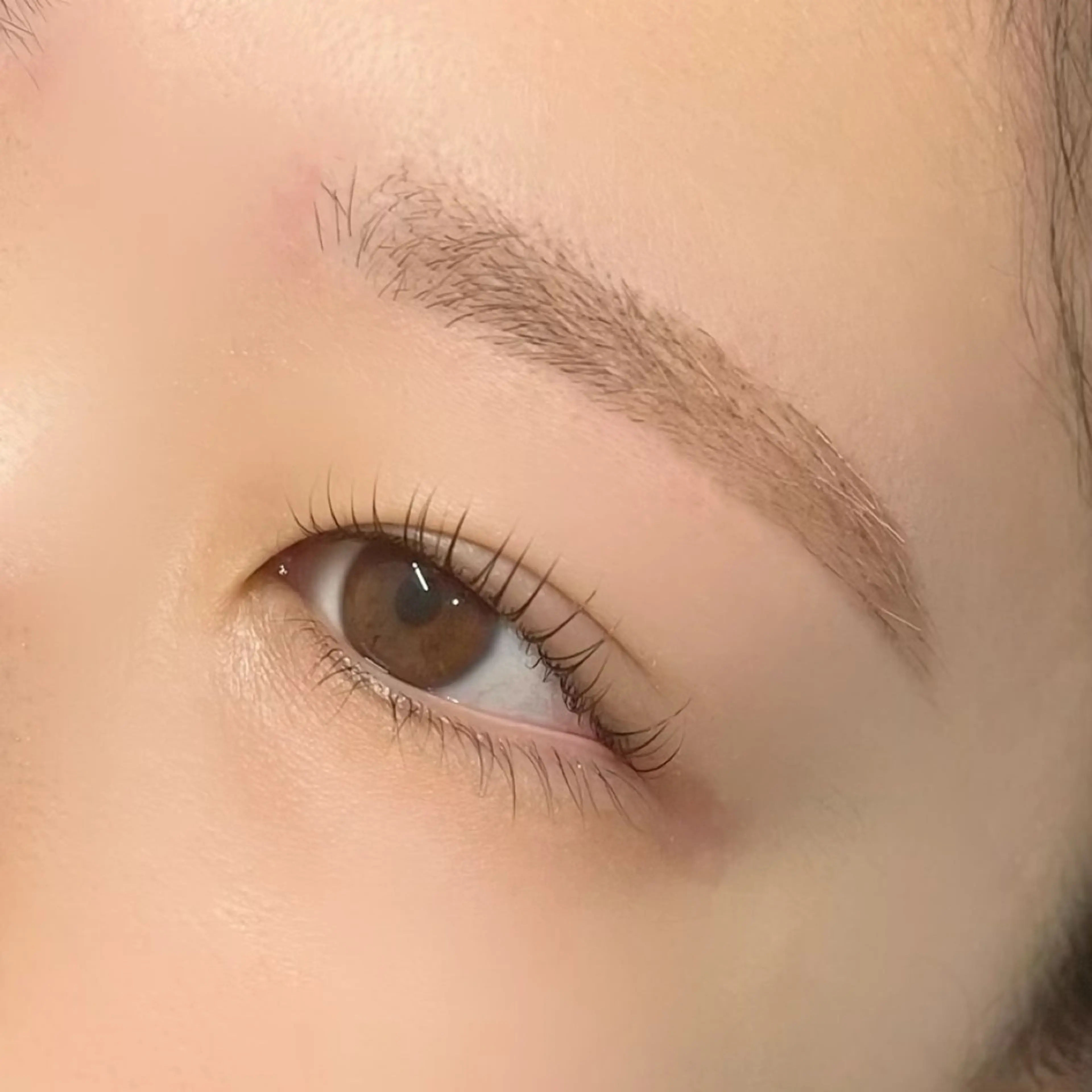 マツエク・マツパ アイブロウ ケラチンラッシュリフト EYEMAJIC Pure★高見の眉毛・アイブロウイメージ