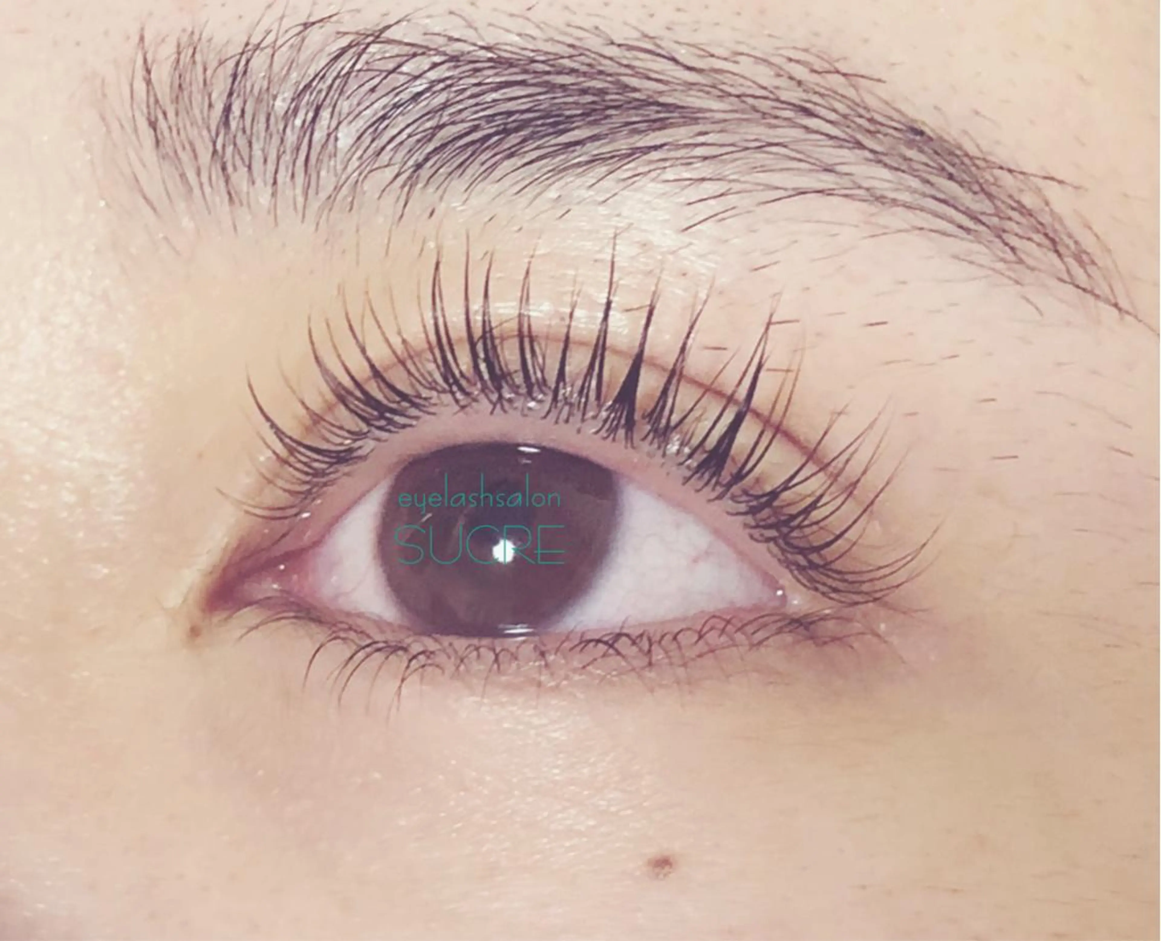 マツエク・マツパ 下まつげエクステ EyelashSalon Liz.&所属・Liz.&現ino 平田のマツエク・マツパデザイン