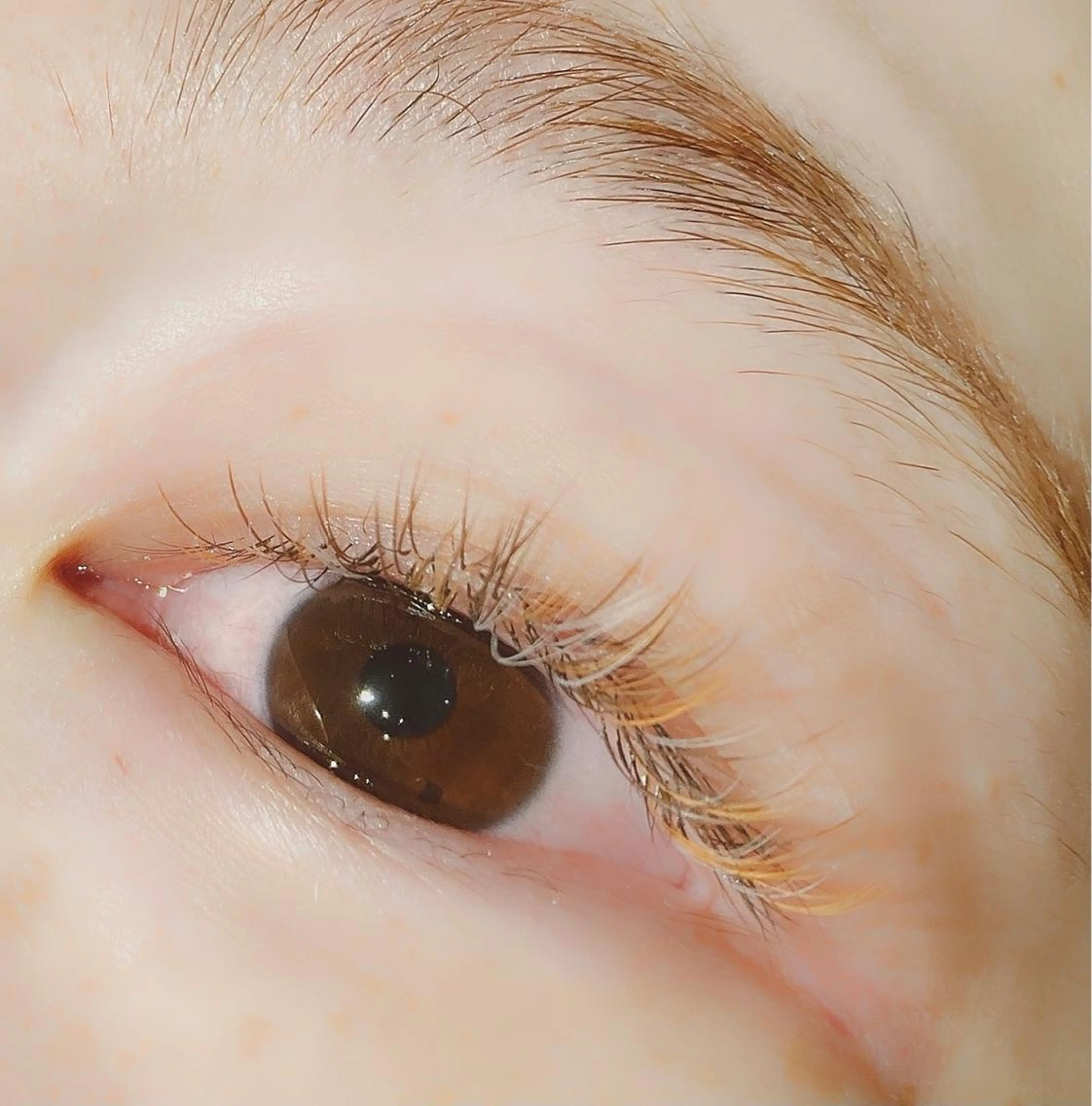 マツエク・マツパ 付け放題 Cカール カラーマツエク ボリュームラッシュ L'Allure所属・野上 好乃のマツエク・マツパデザイン