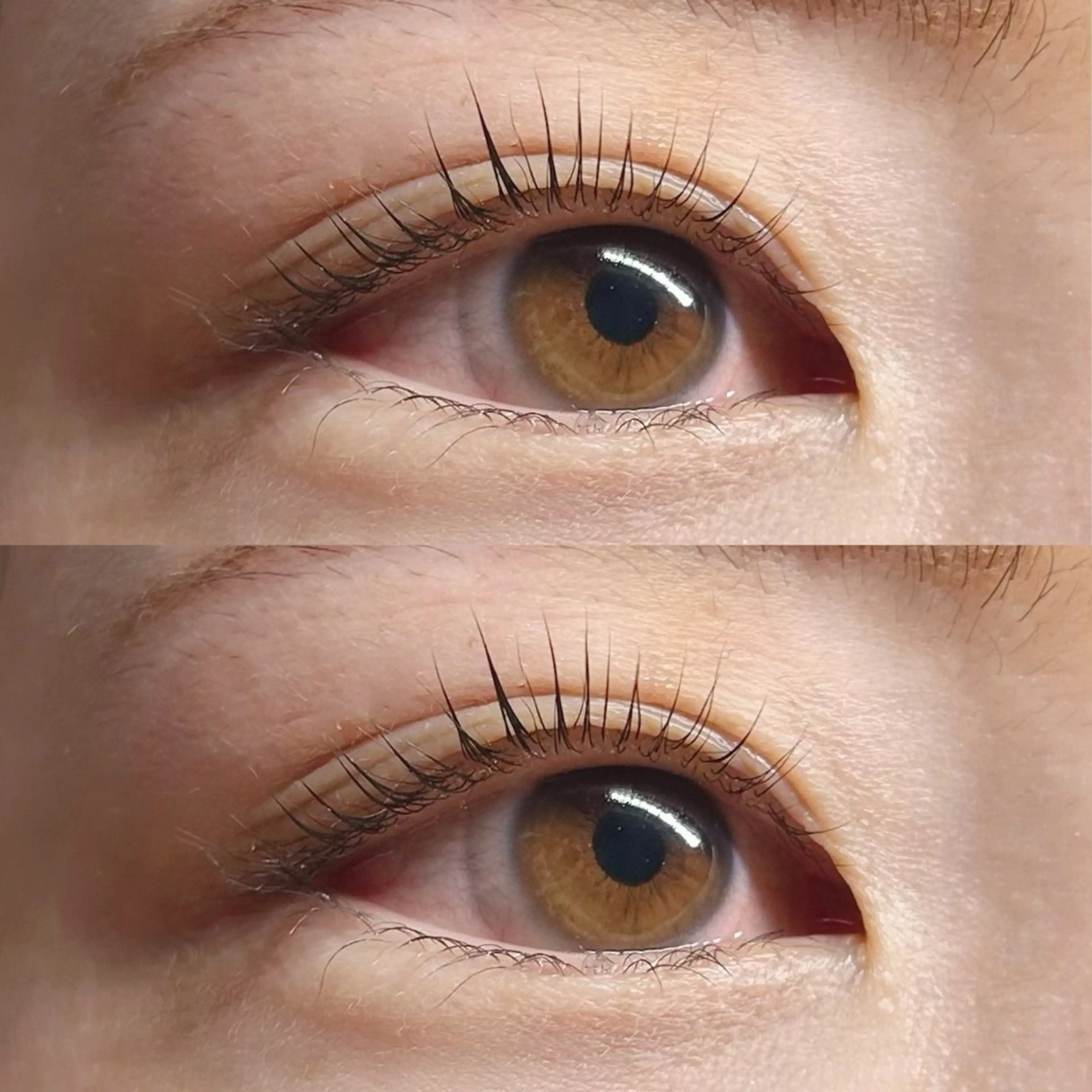 🎀【平日限定価格】上まつげパーマ🎀の写真