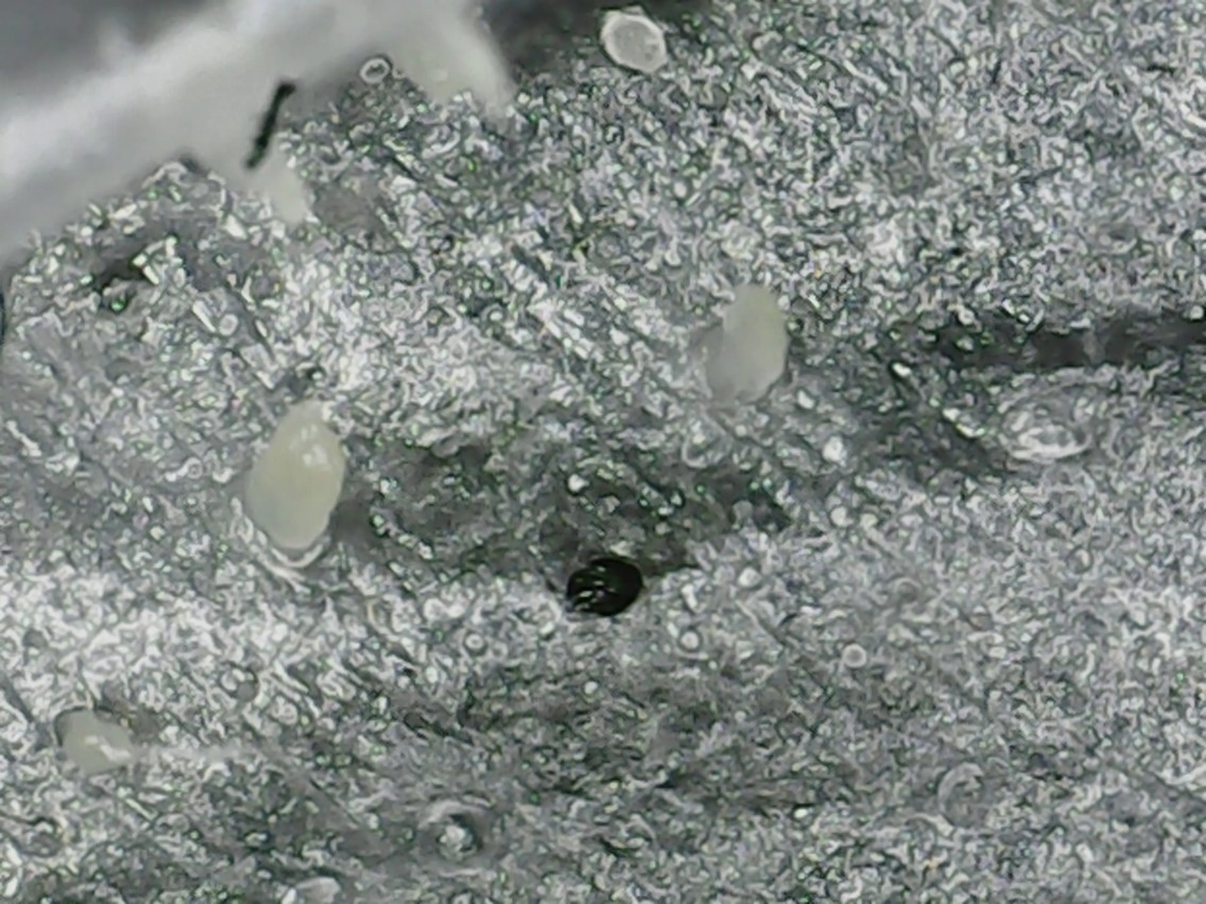 エステ MONA 北村の眉毛・アイブロウイメージ