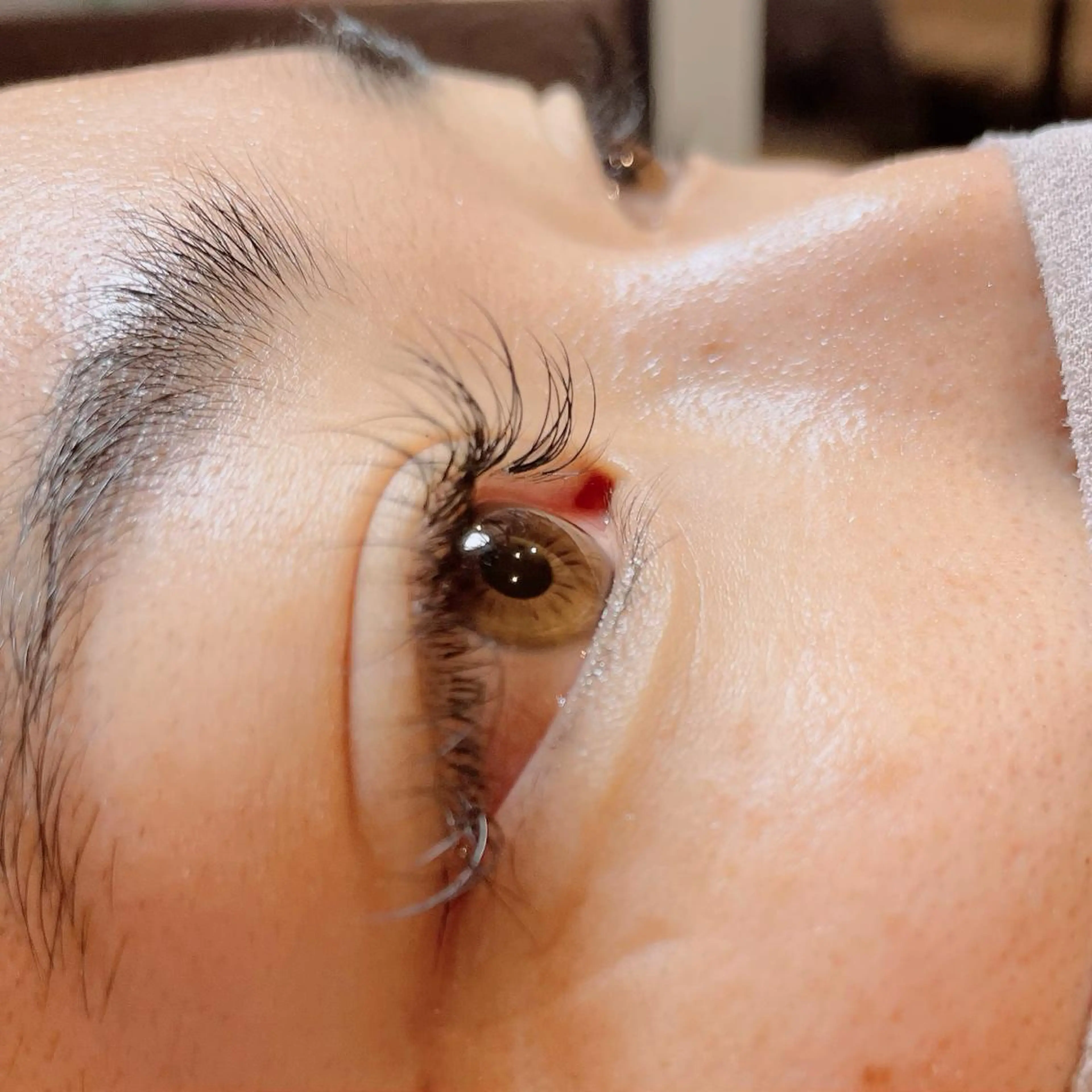 マツエク・マツパ Dカール ナチュラル セーブル 一重×まつ毛パーマ 玉木 愛の眉毛・アイブロウイメージ