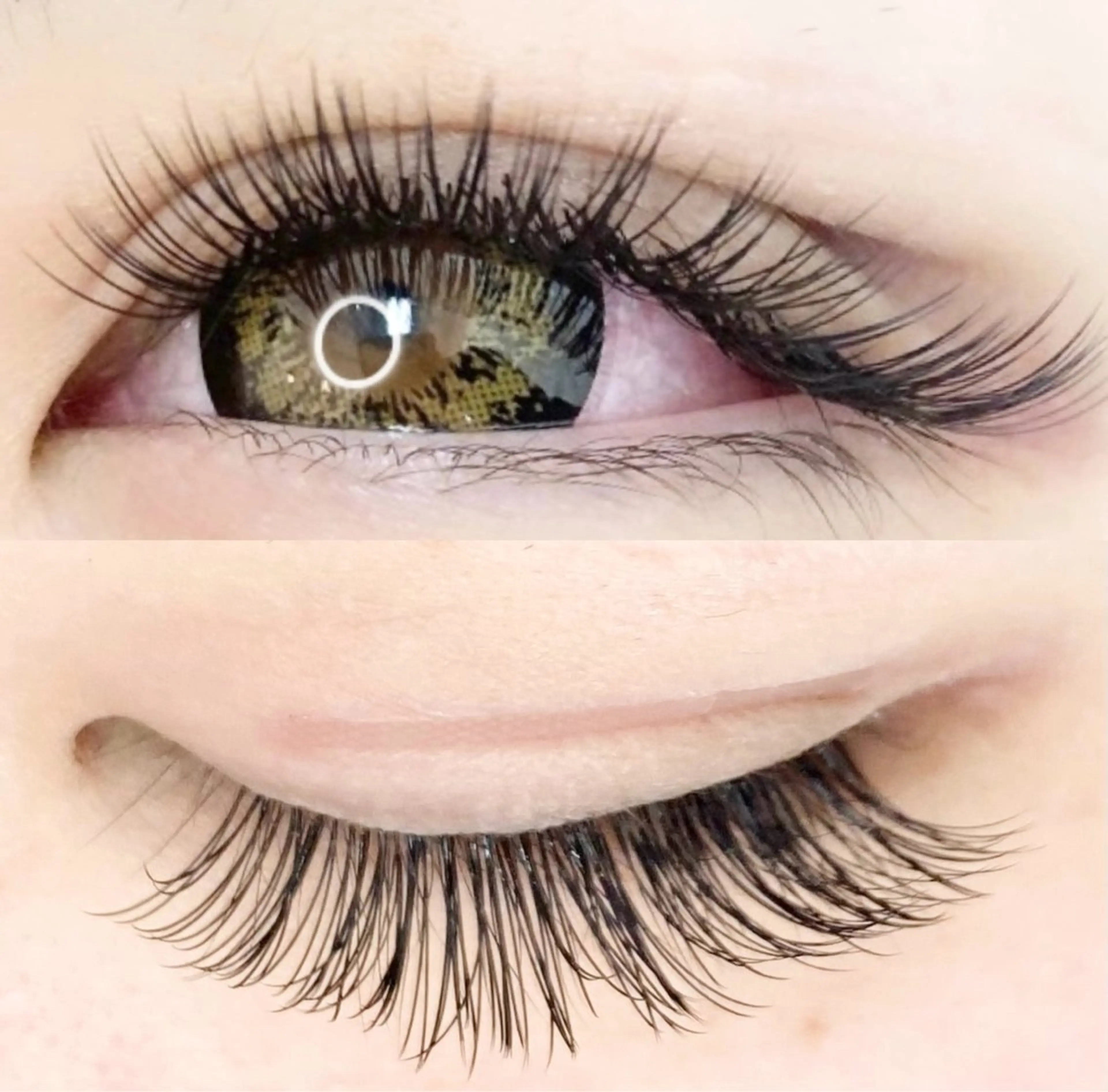 マツエク・マツパ Cカール Dカール フラットラッシュ Eyelash Nailsalon Neo beauty所属・Neo beauty Rinkaのマツエク・マツパデザイン