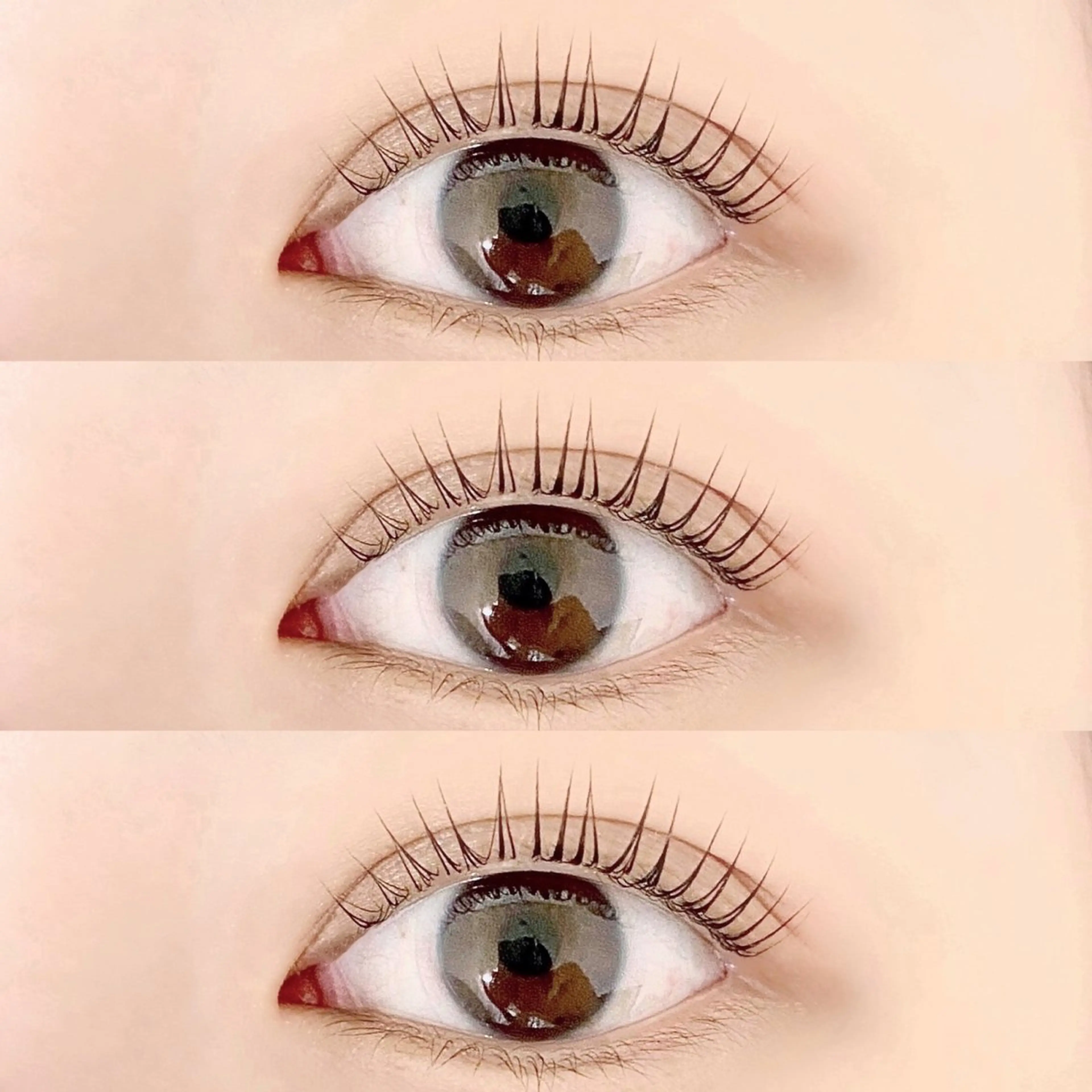 パリジェンヌラッシュリフト🦦の写真