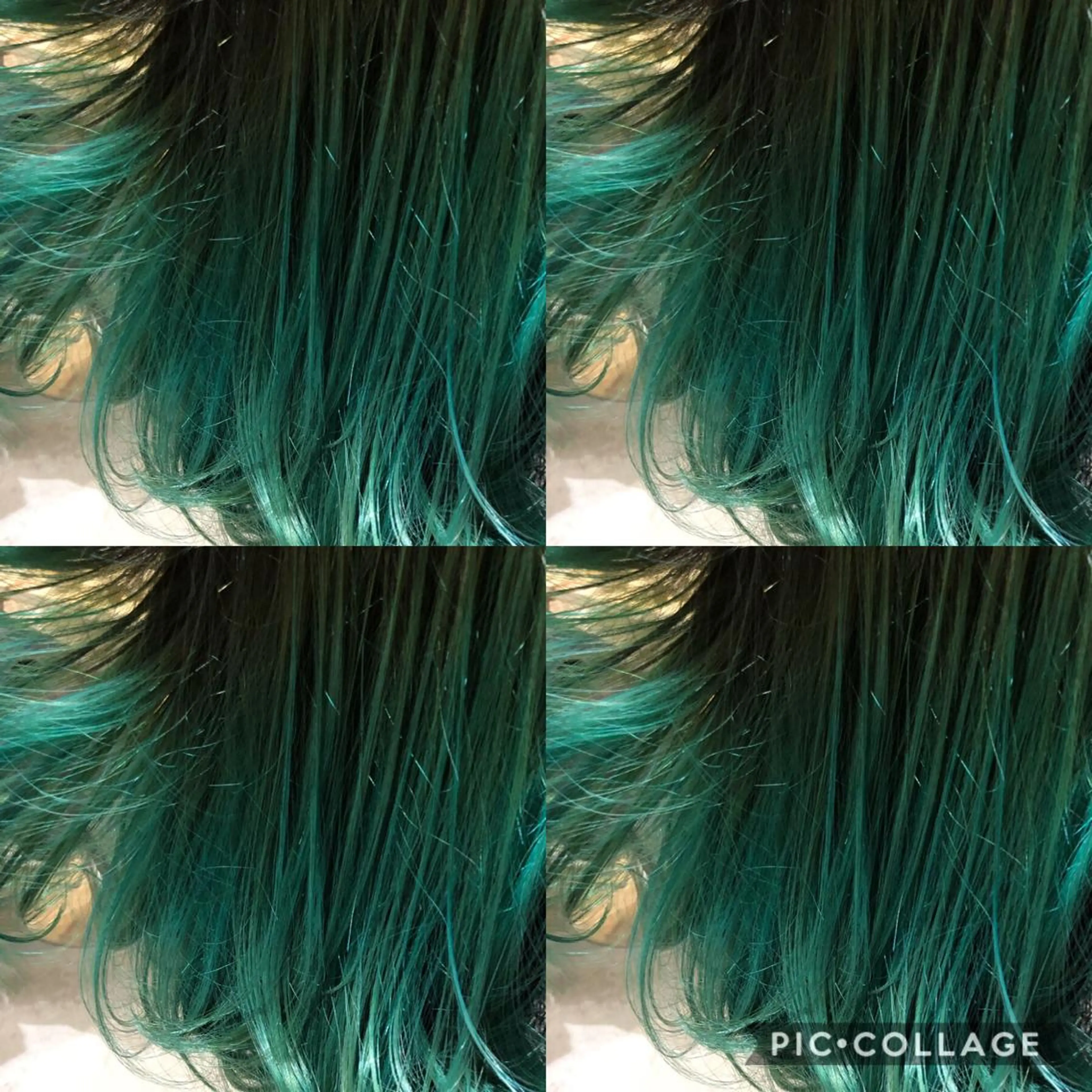 ショート カラー 🌈圧倒的デザイン力 内井省吾のヘアスタイル