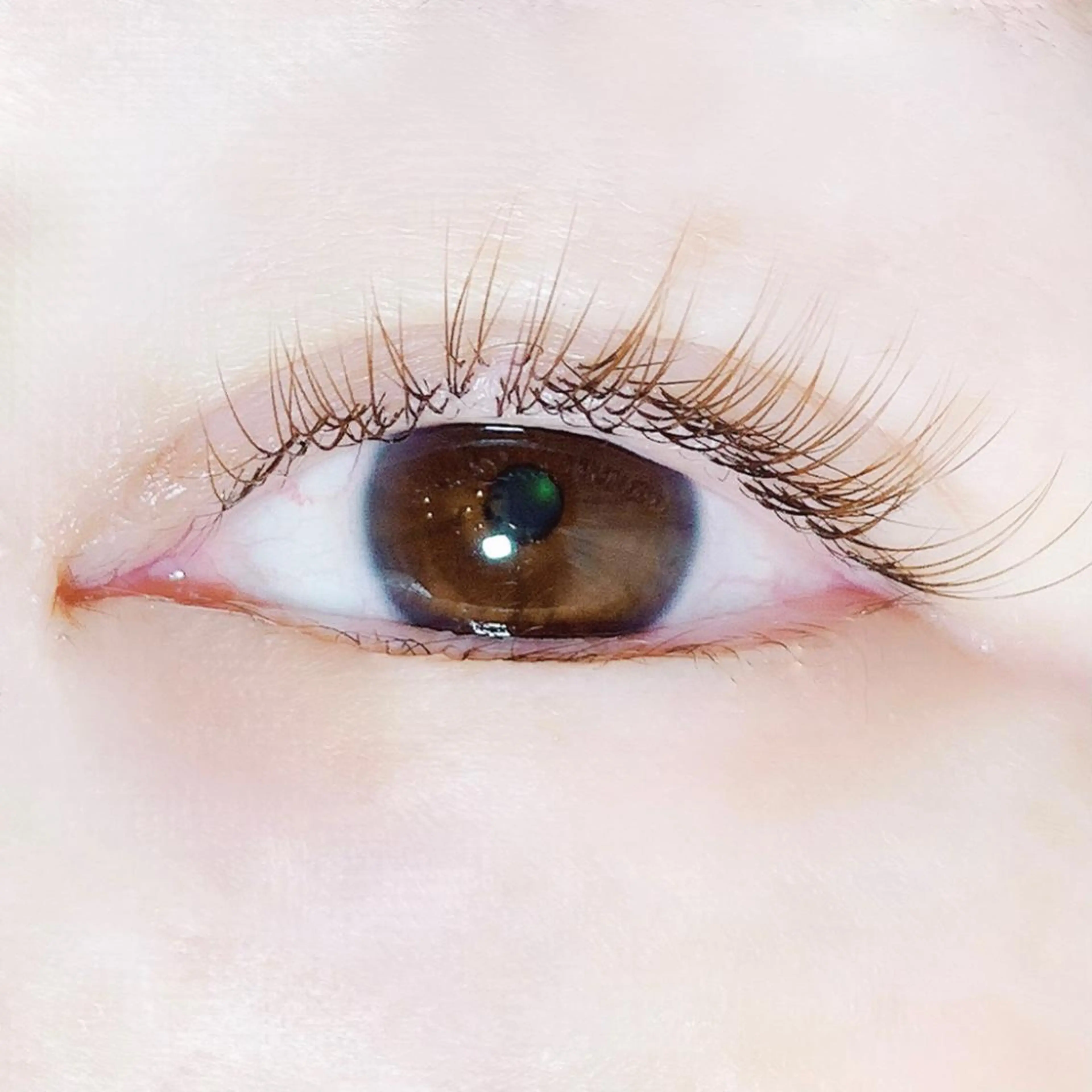 マツエク・マツパ PRANA所属・PRANA 錦糸町 徒歩3分のその他イメージ