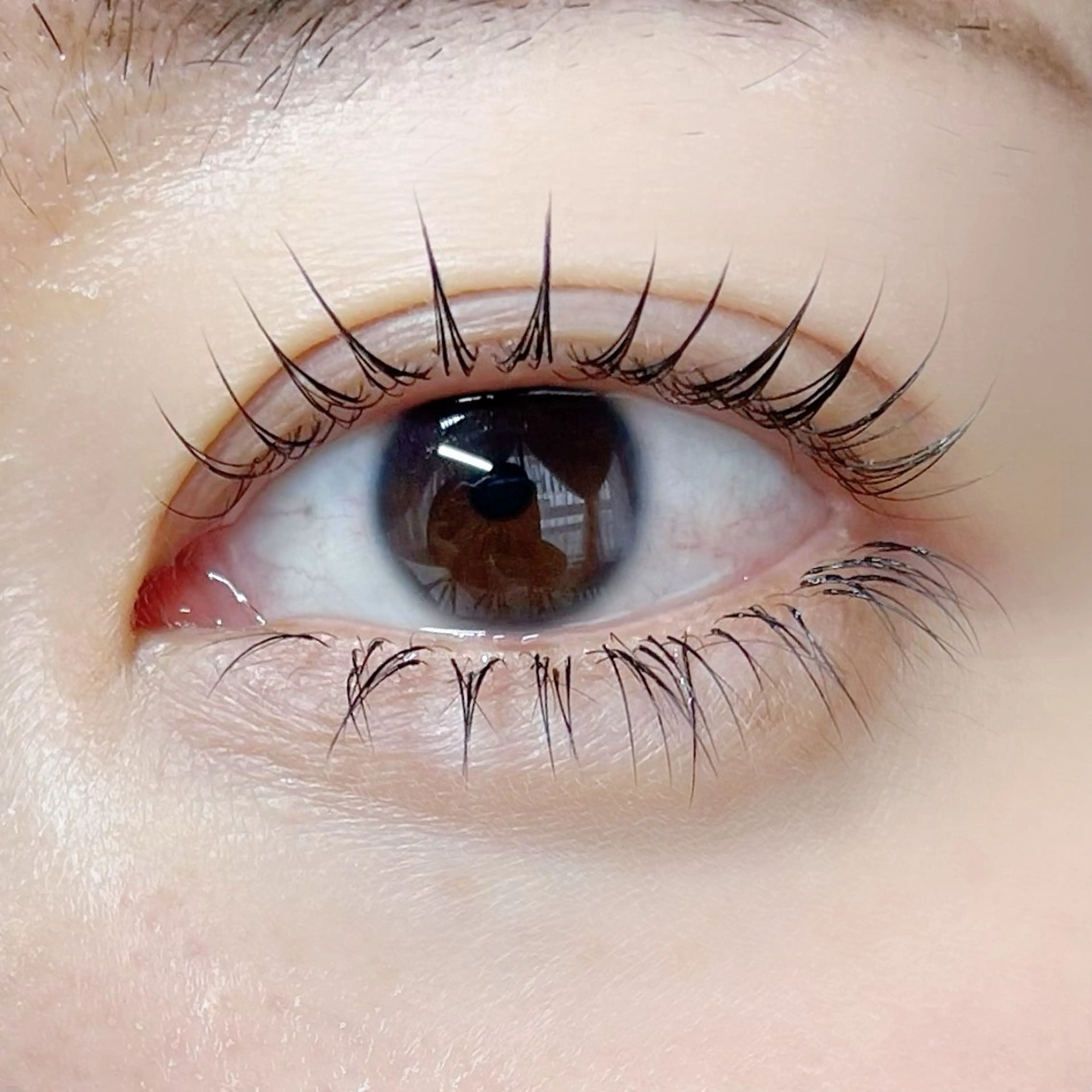 マツエク・マツパ まつげパーマ lrie ／  moeのマツエク・マツパデザイン