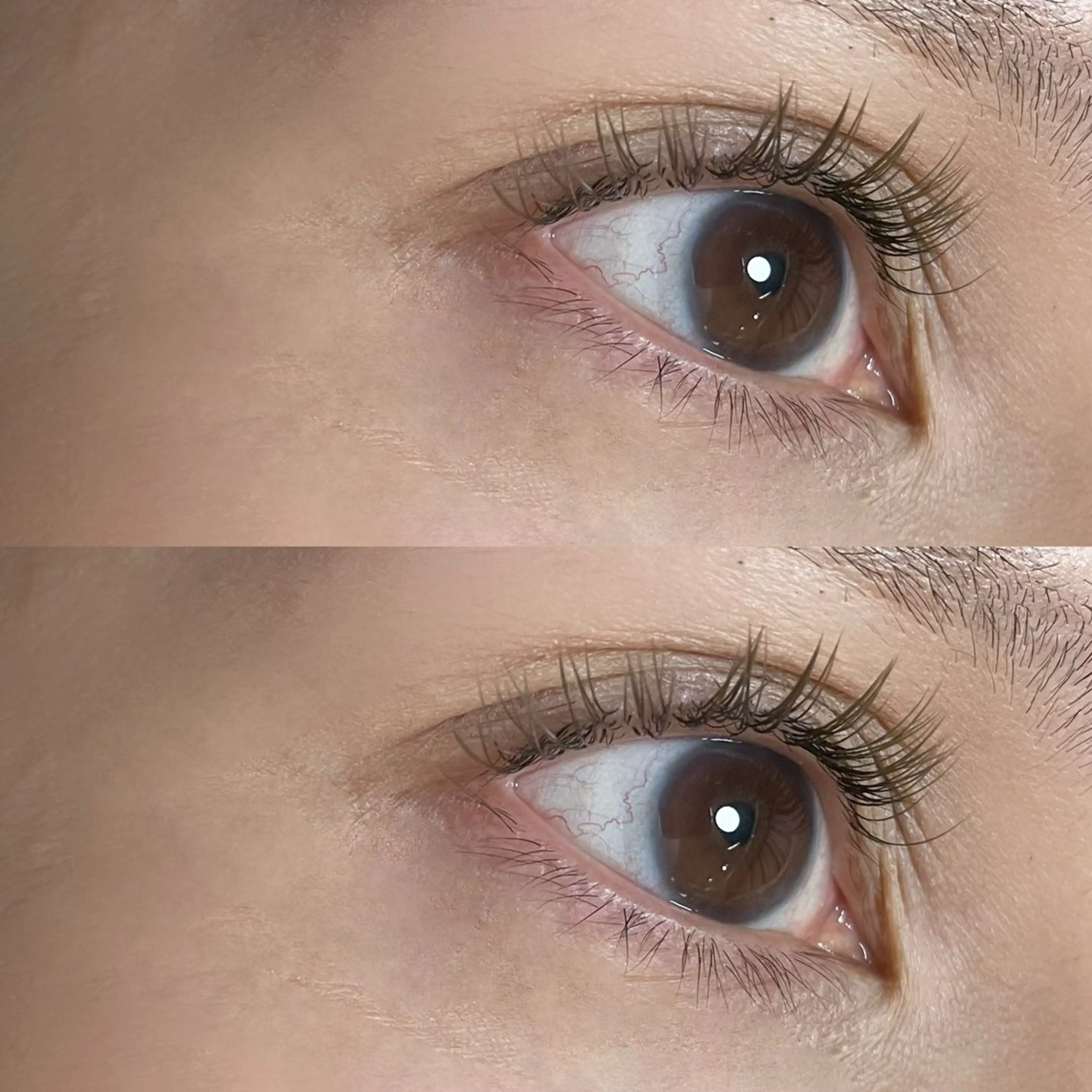 マツエク・マツパ カラーマツエク Jカール Ayumi.dre 🌸Y《2階》のマツエク・マツパデザイン