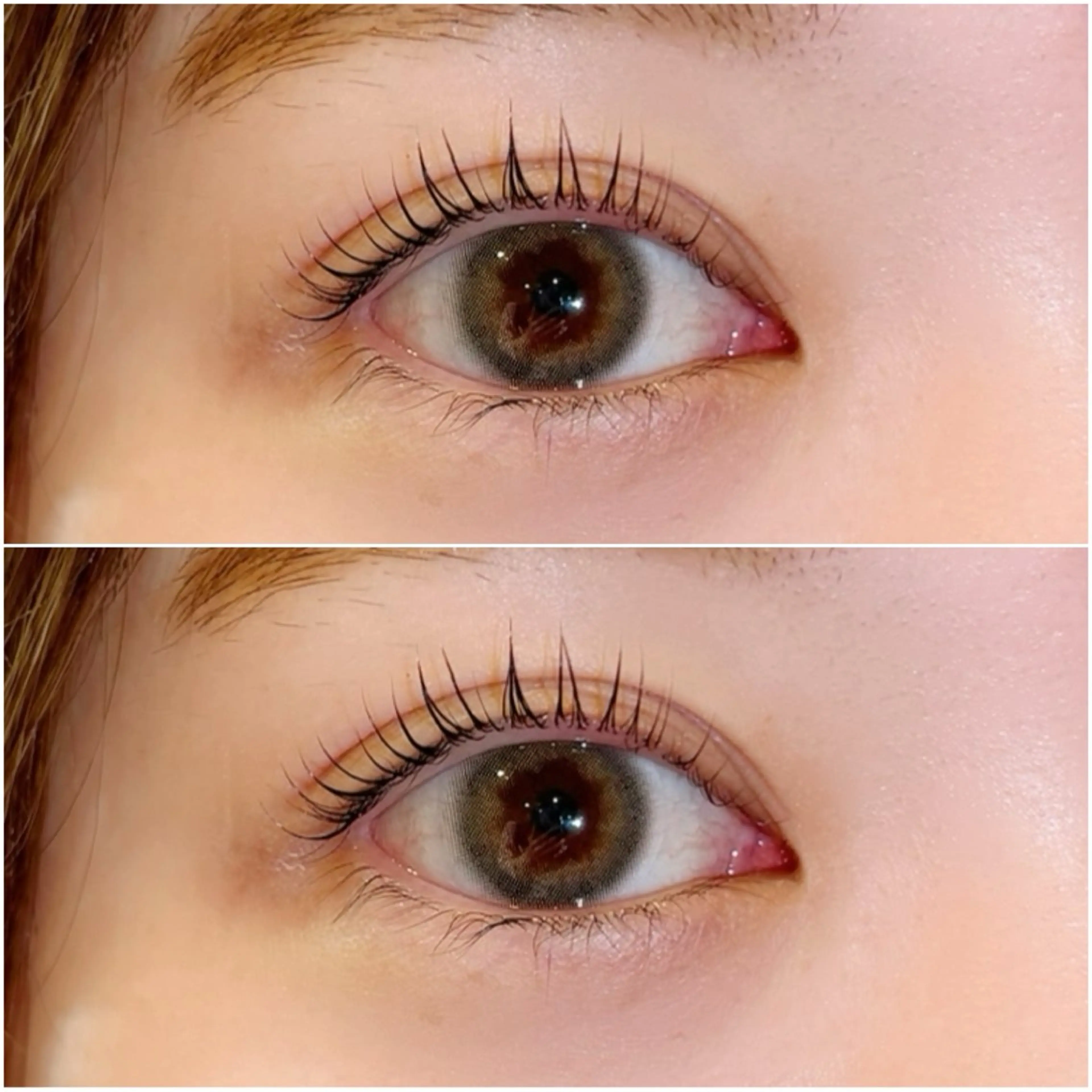 【平日限定💎】韓国風デザインラッシュリフト（潤いケラチンTR付き🌼）の写真