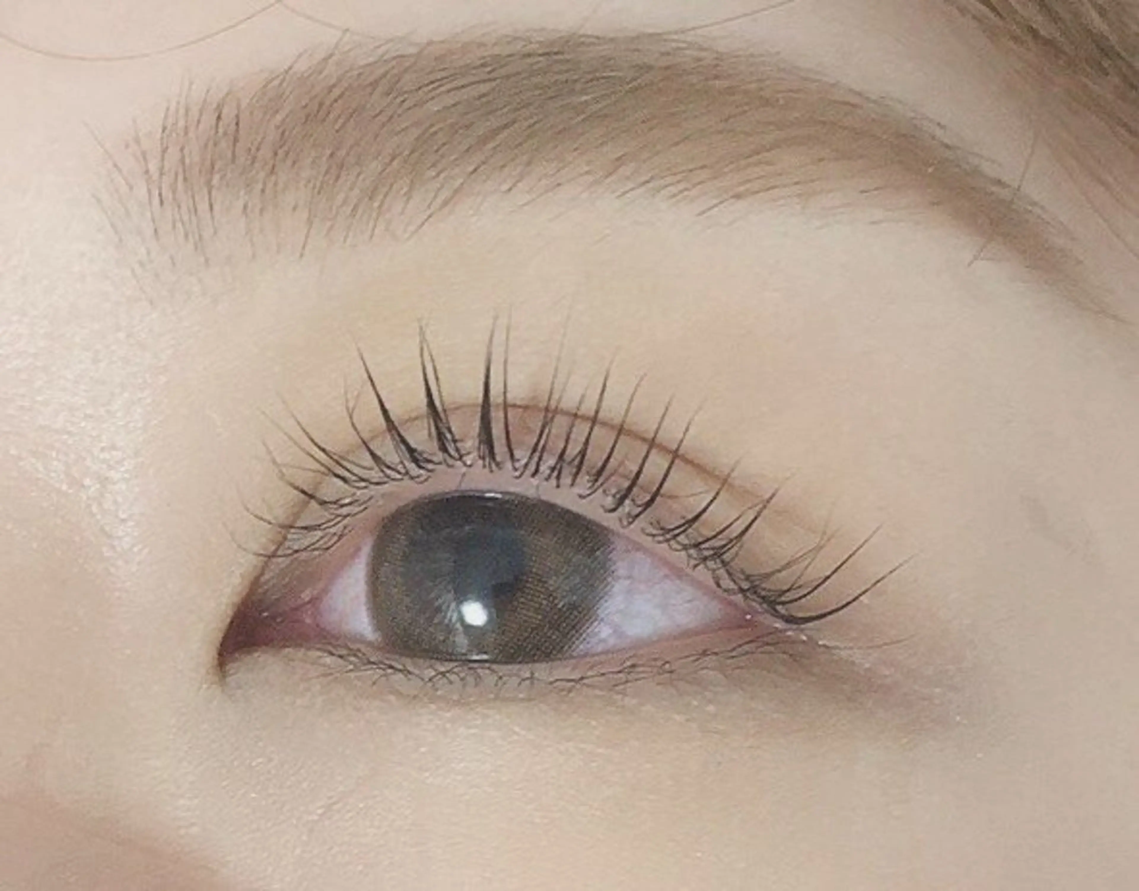 まつ毛パーマ＋アイパック🌱の写真