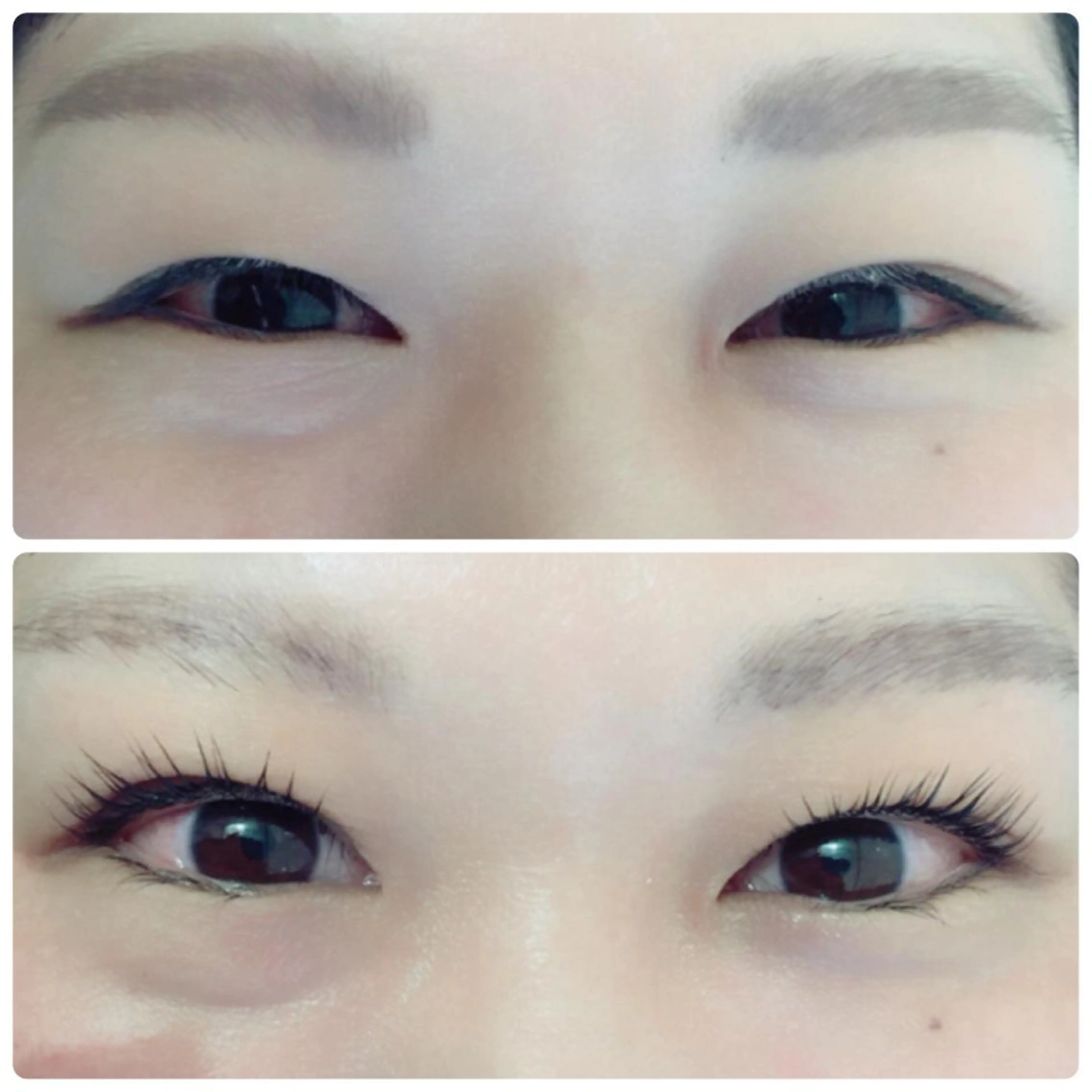 マツエク・マツパ まつげ、毛穴 TREEのエステ・リラクイメージ