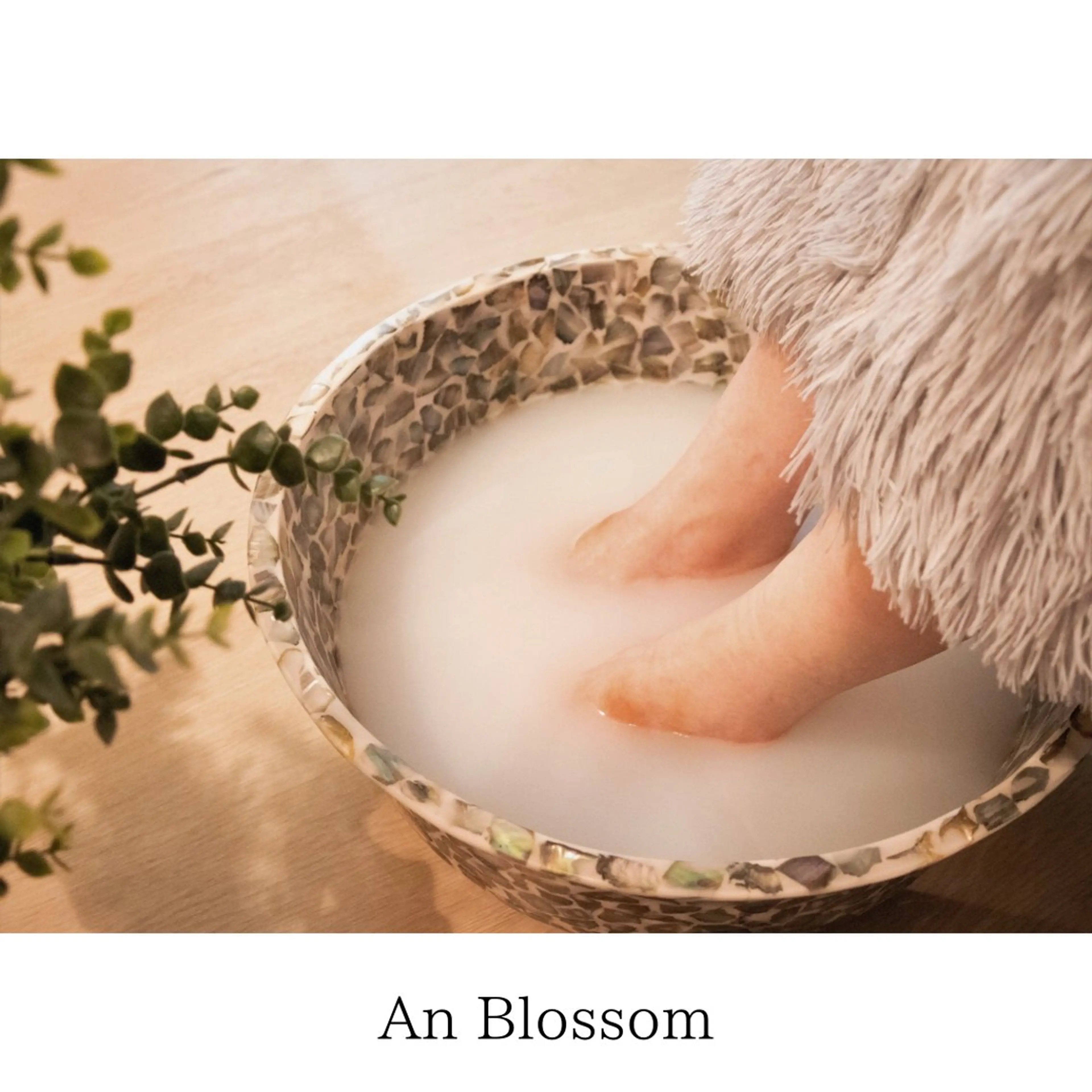 An Blossom 茅ヶ崎/室田 杏のエステ・リラクイメージ