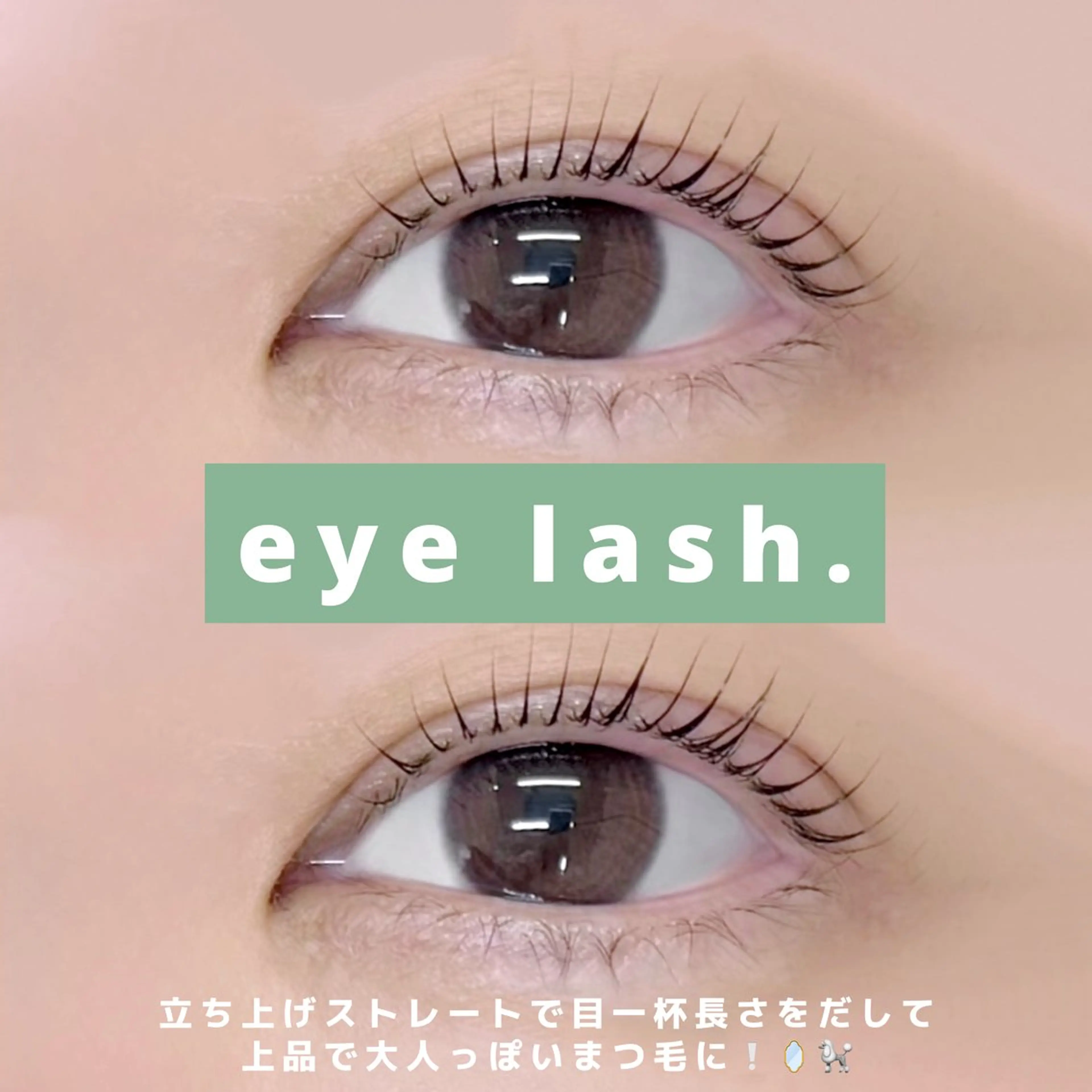 マツエク・マツパ 🥚 ユイ 🥚のマツエク・マツパデザイン