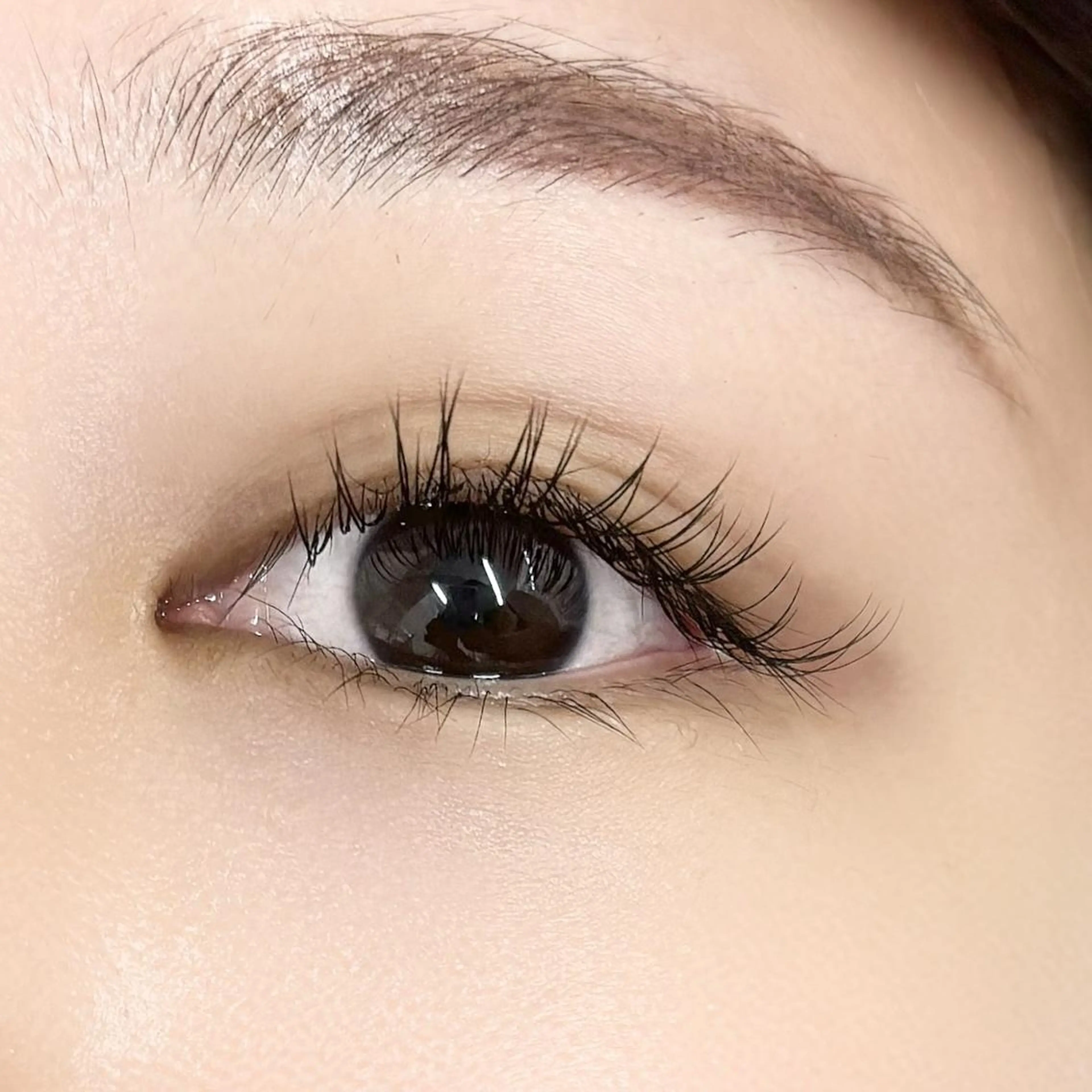 マツエク・マツパ grandjete 野原のマツエク・マツパデザイン