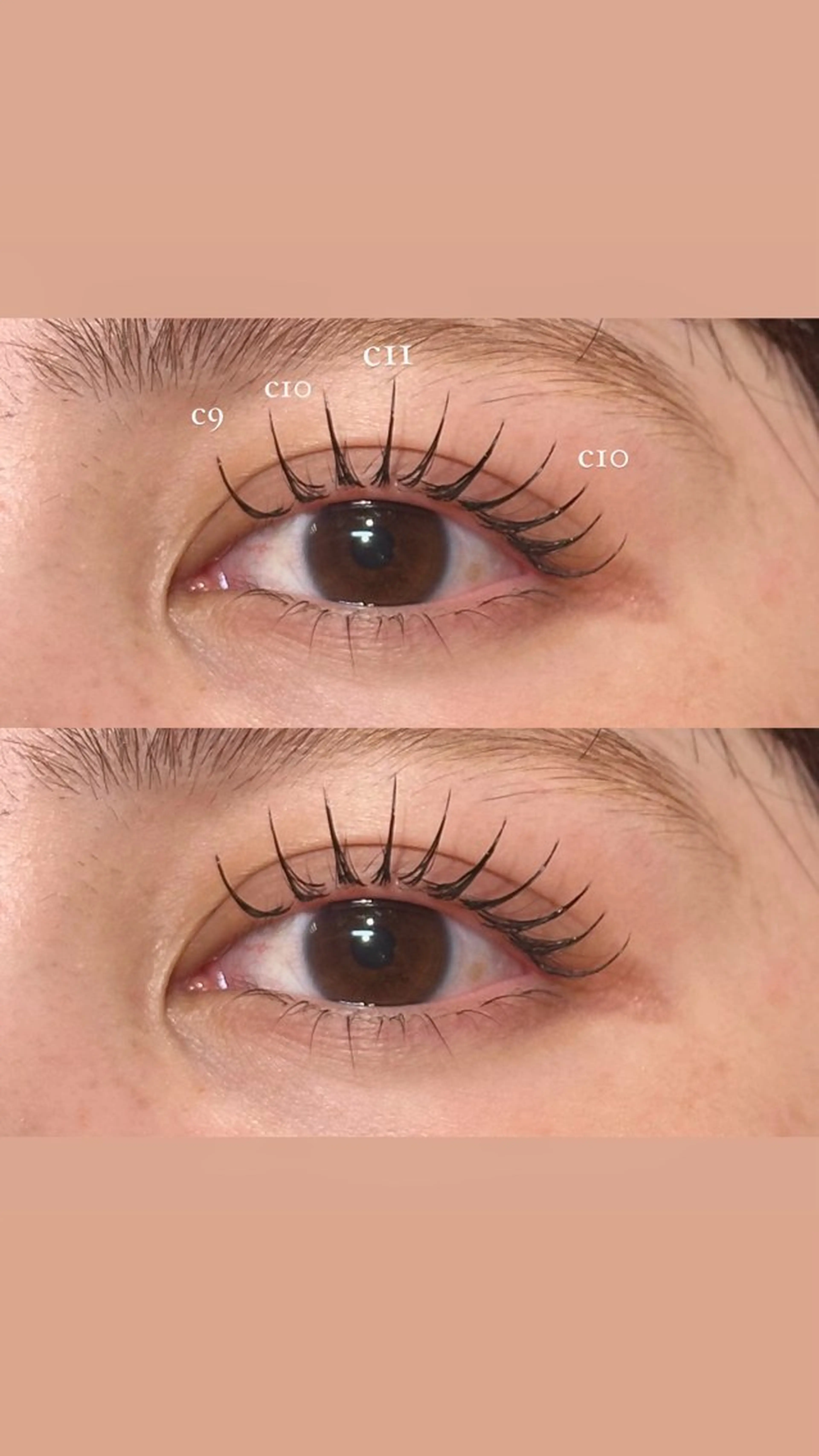 🩷🩶flat lash 60本🩶🩷韓国風束感仕上げ🪄の写真