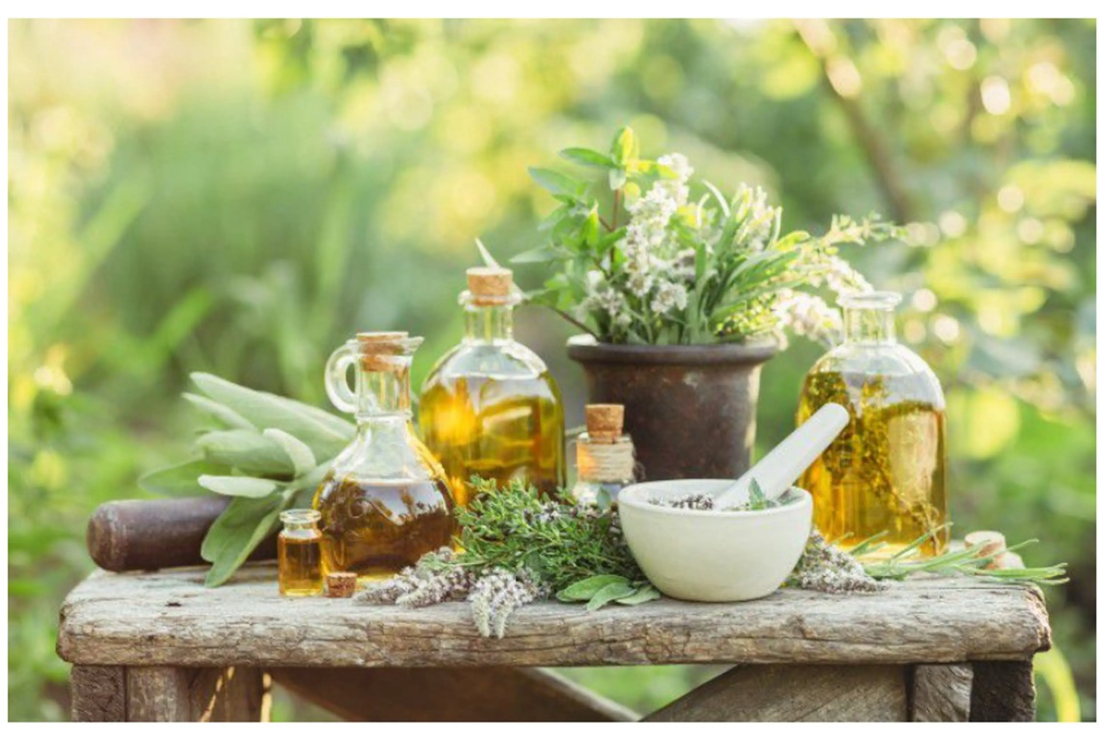 【ミニモ限定】癒しの🌿#フェイシャル 艶っぽ#オイル トリートメント60分💆‍♀️の写真