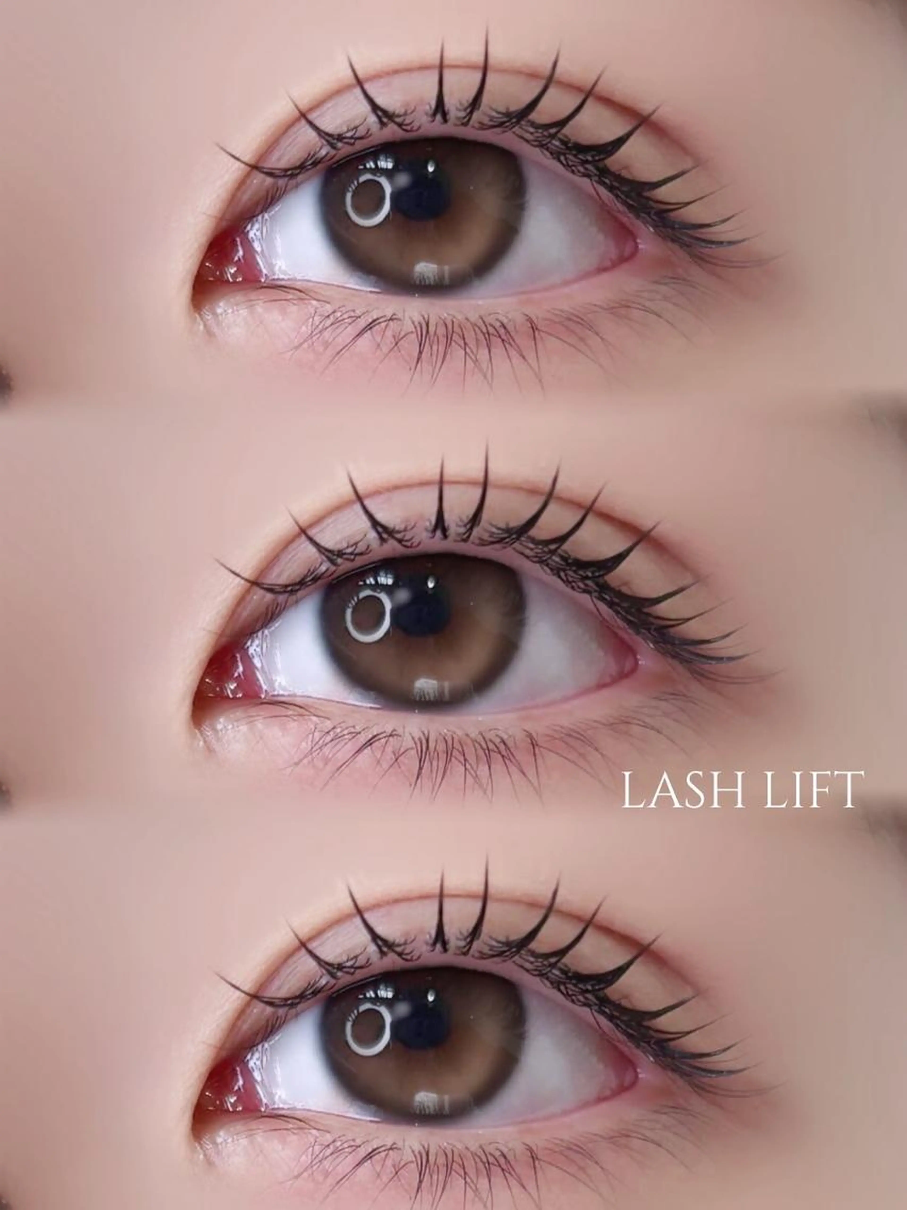 《全員》まつげパーマ（ラッシュリフト or パリジェンヌ）＋エグータム🎁育てるまつげケアセット✨の写真