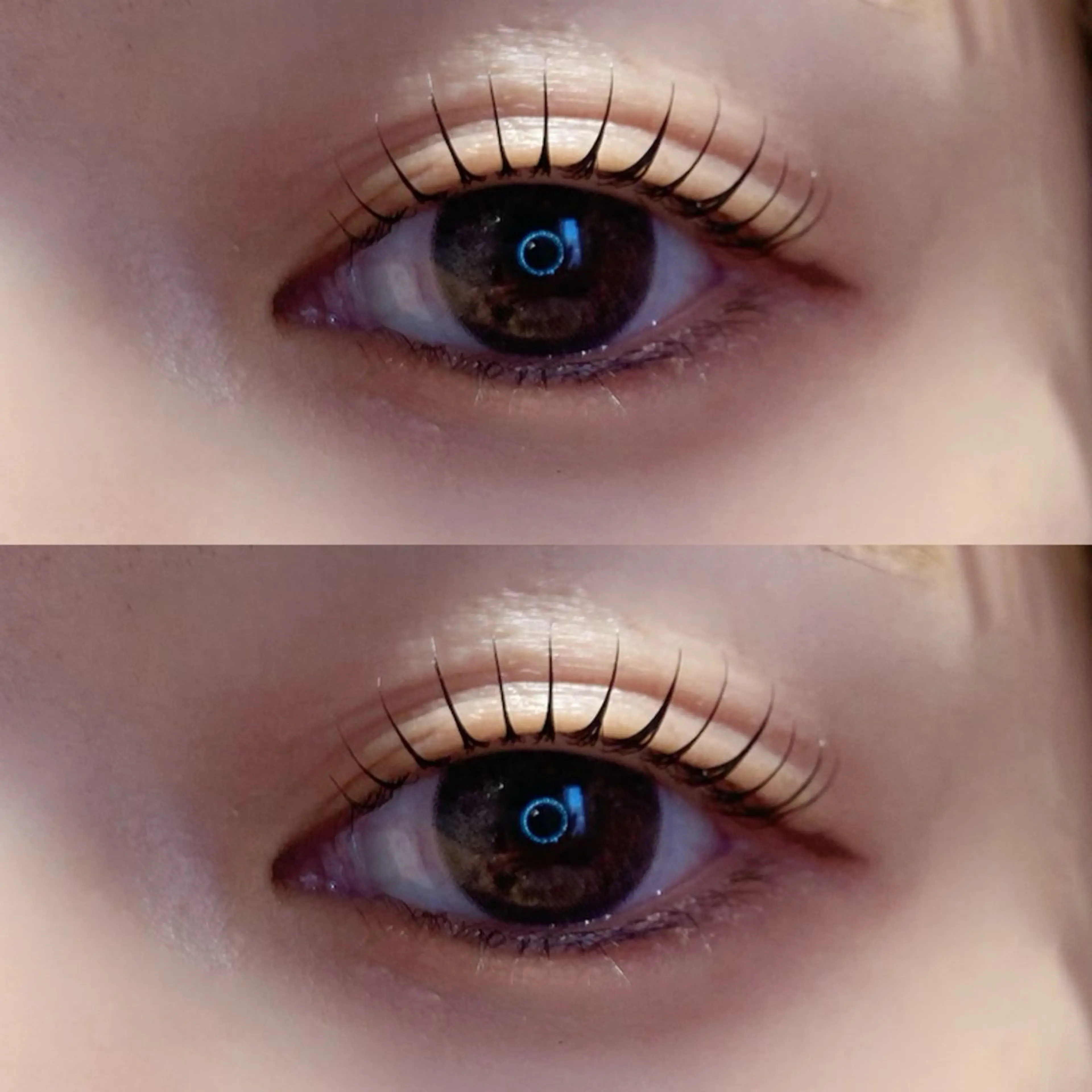 マツエク・マツパ 束感まつ毛 Cカール lit yurina🐈‍⬛のマツエク・マツパデザイン