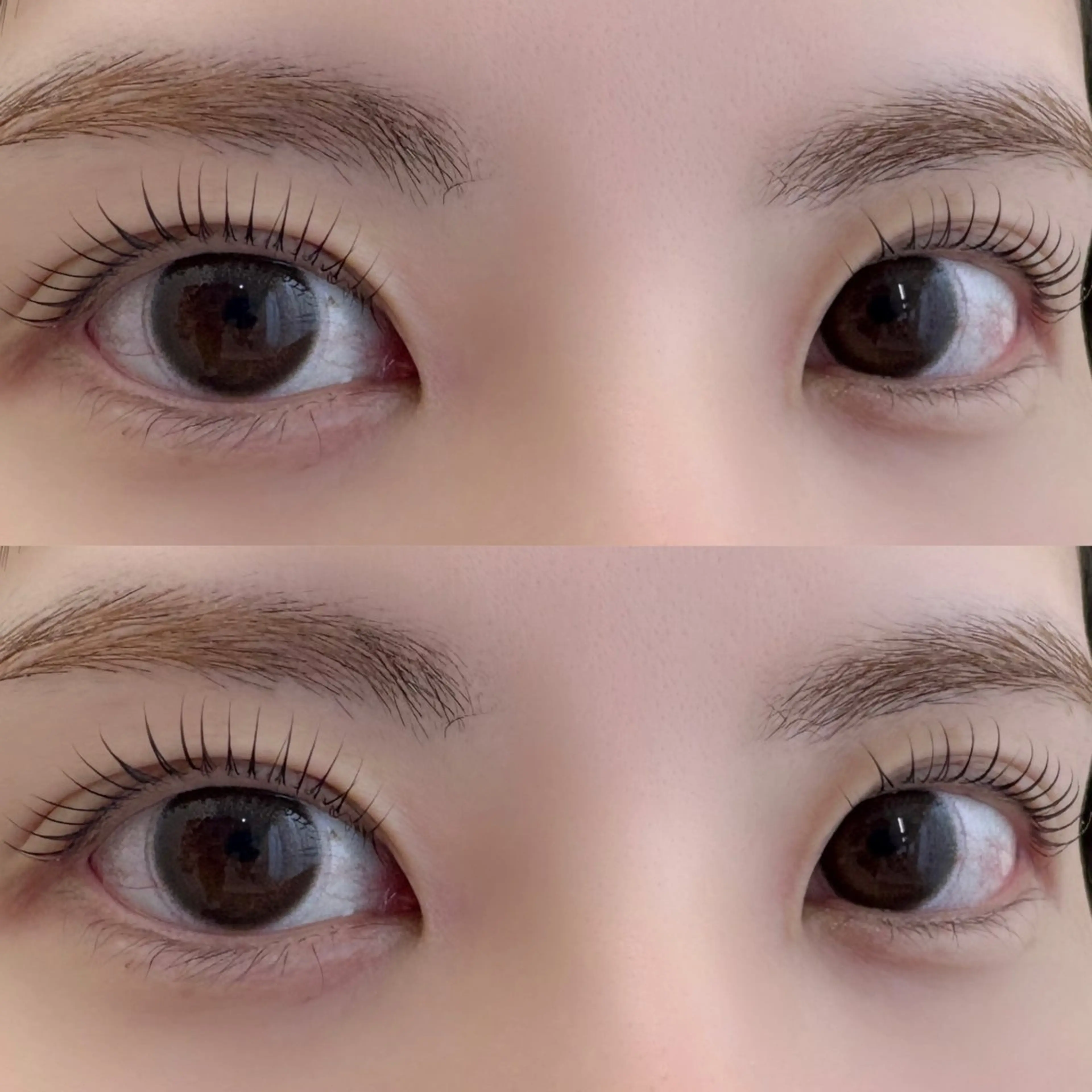 【ミニモ学割 ˚✩☪︎】《お目元の撮影可能な方のみ》まつ毛パーマ🐰🫧＋コーティングの写真