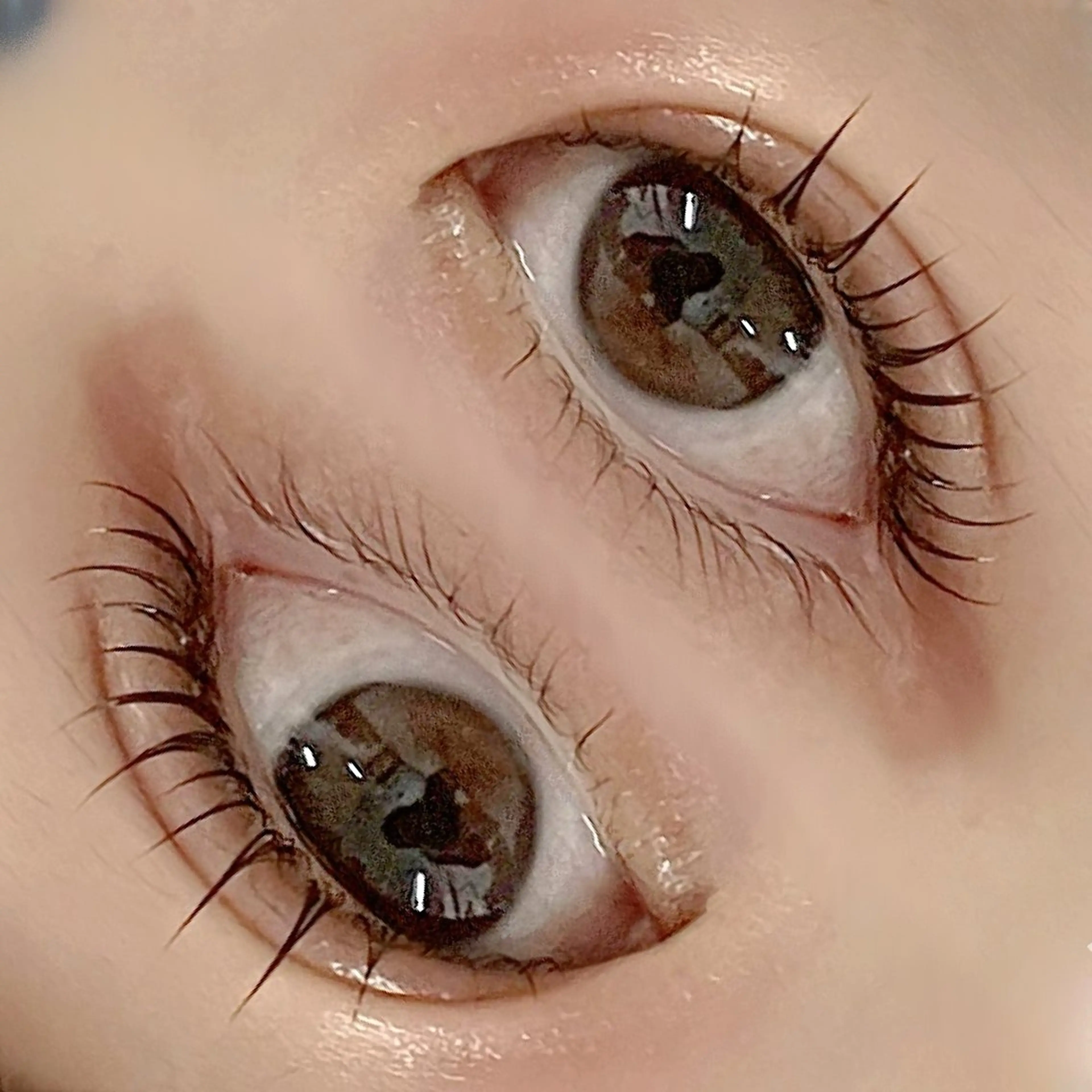 マツエク・マツパ フジ ワラのマツエク・マツパデザイン