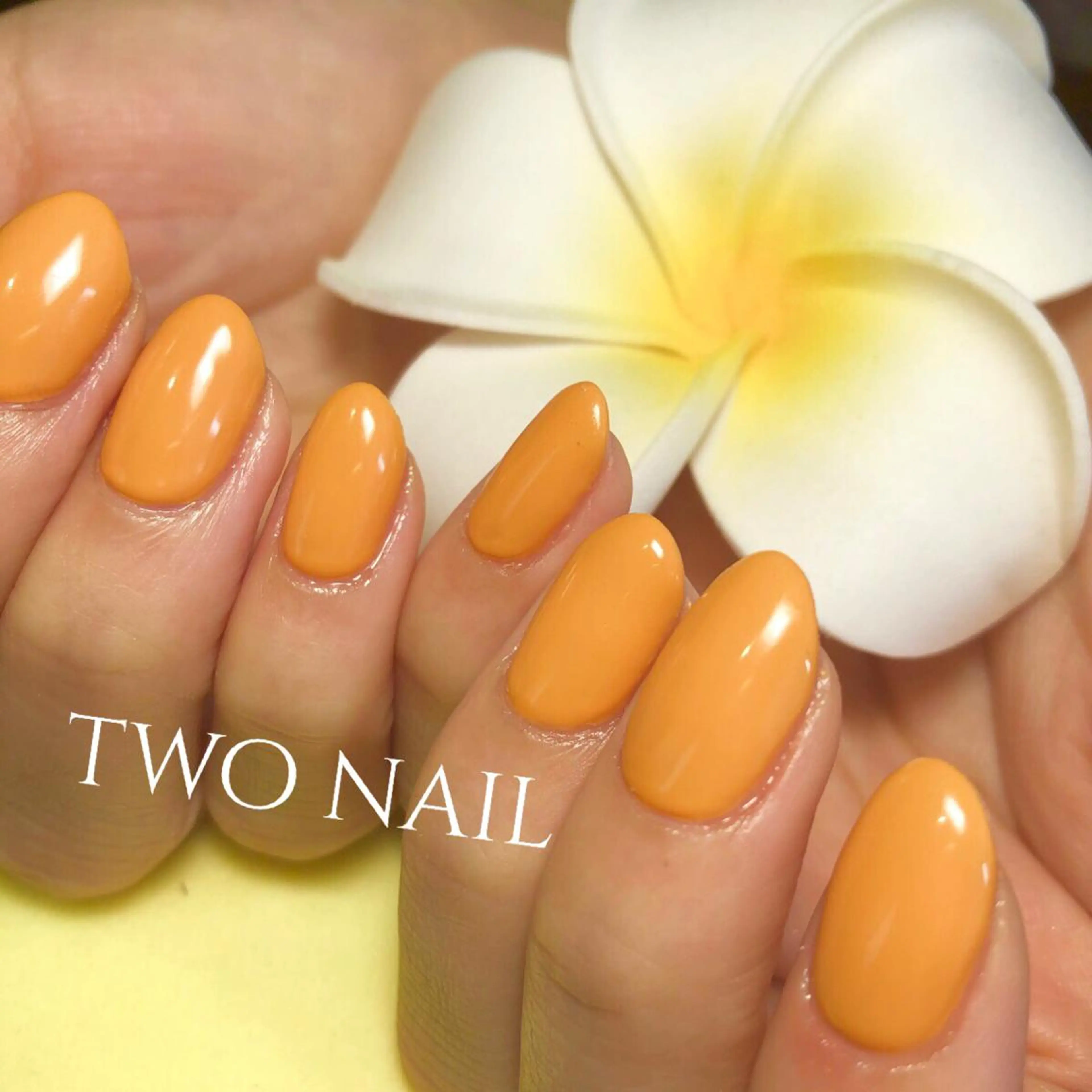 ネイル ワンカラーネイル ハンドネイル two nailのネイルデザイン