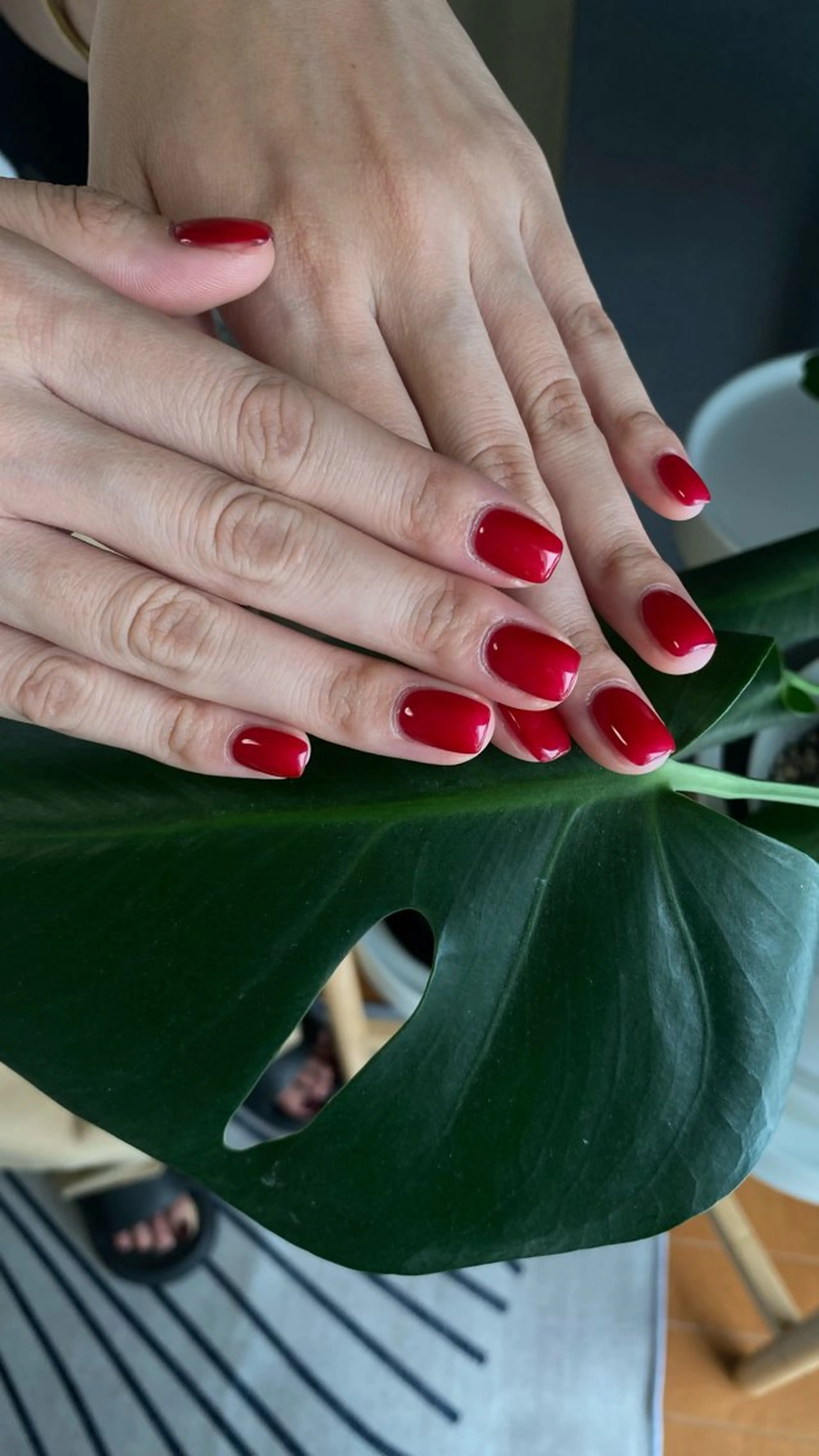 ワンカラーの写真