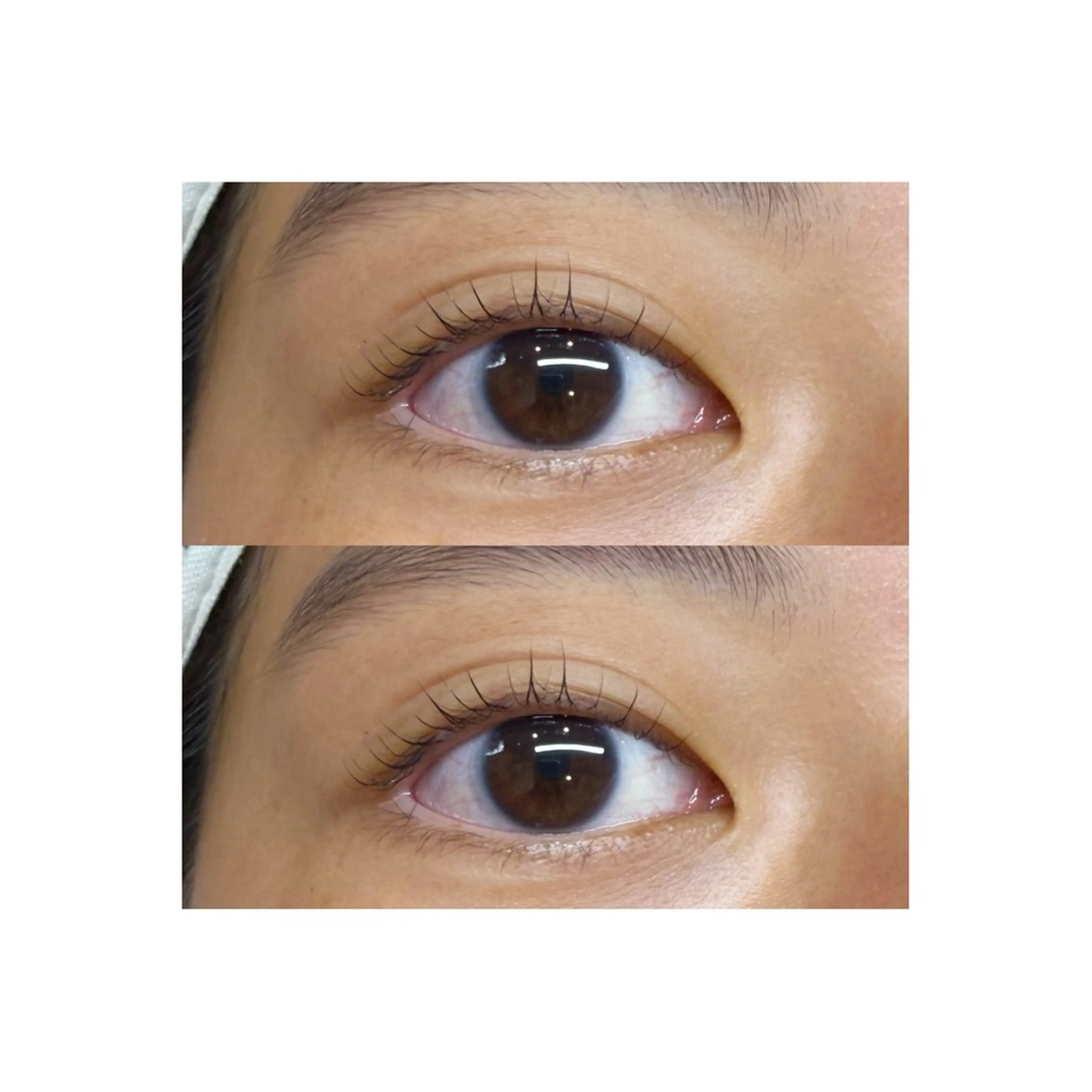 マツエク・マツパ ナチュラル マツパ U too e's MANAE🌼の眉毛・アイブロウイメージ