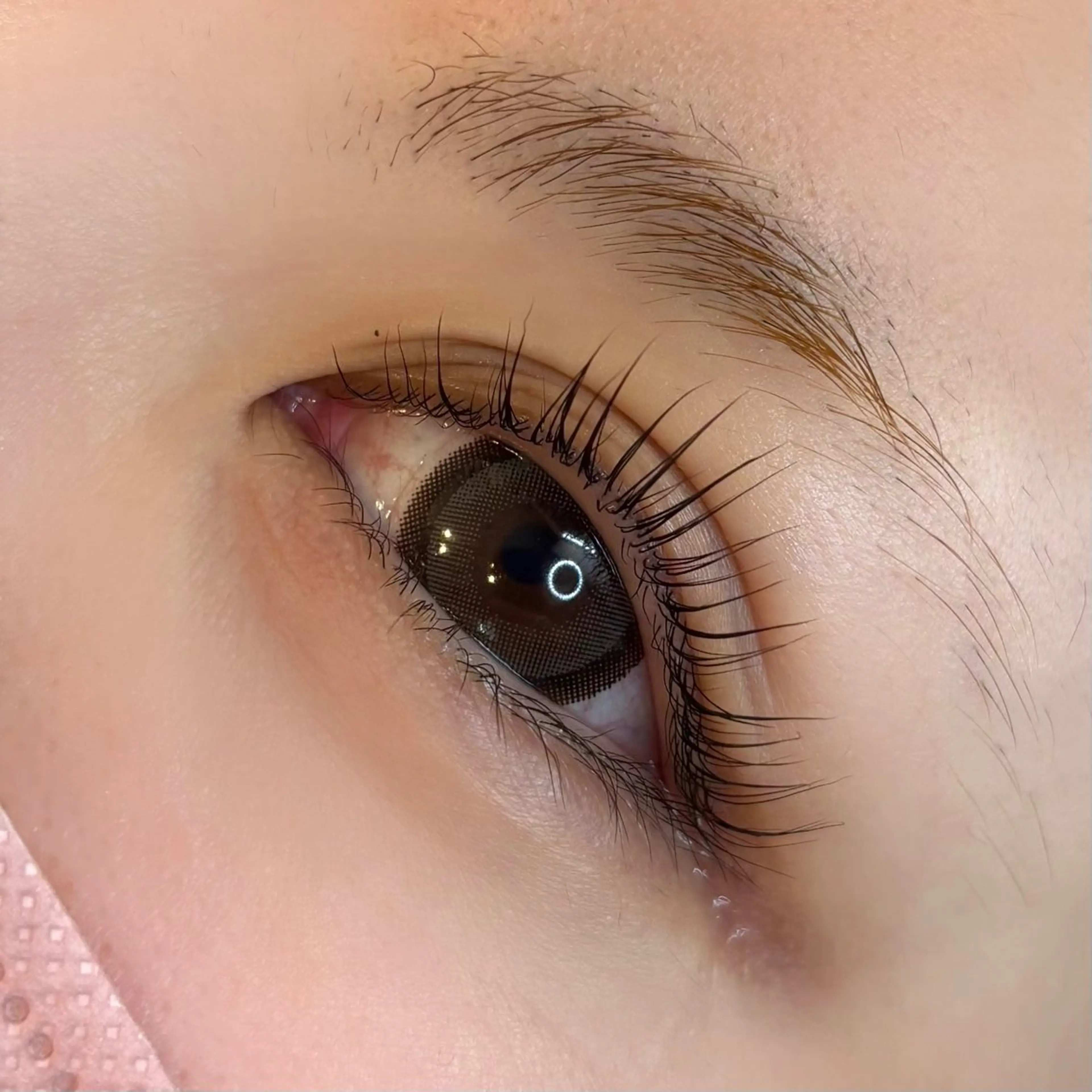 🎀まつ毛パーマモデル様 立ち上げデザイン、Ｃカールのみのご案内🎀 ¥0の写真