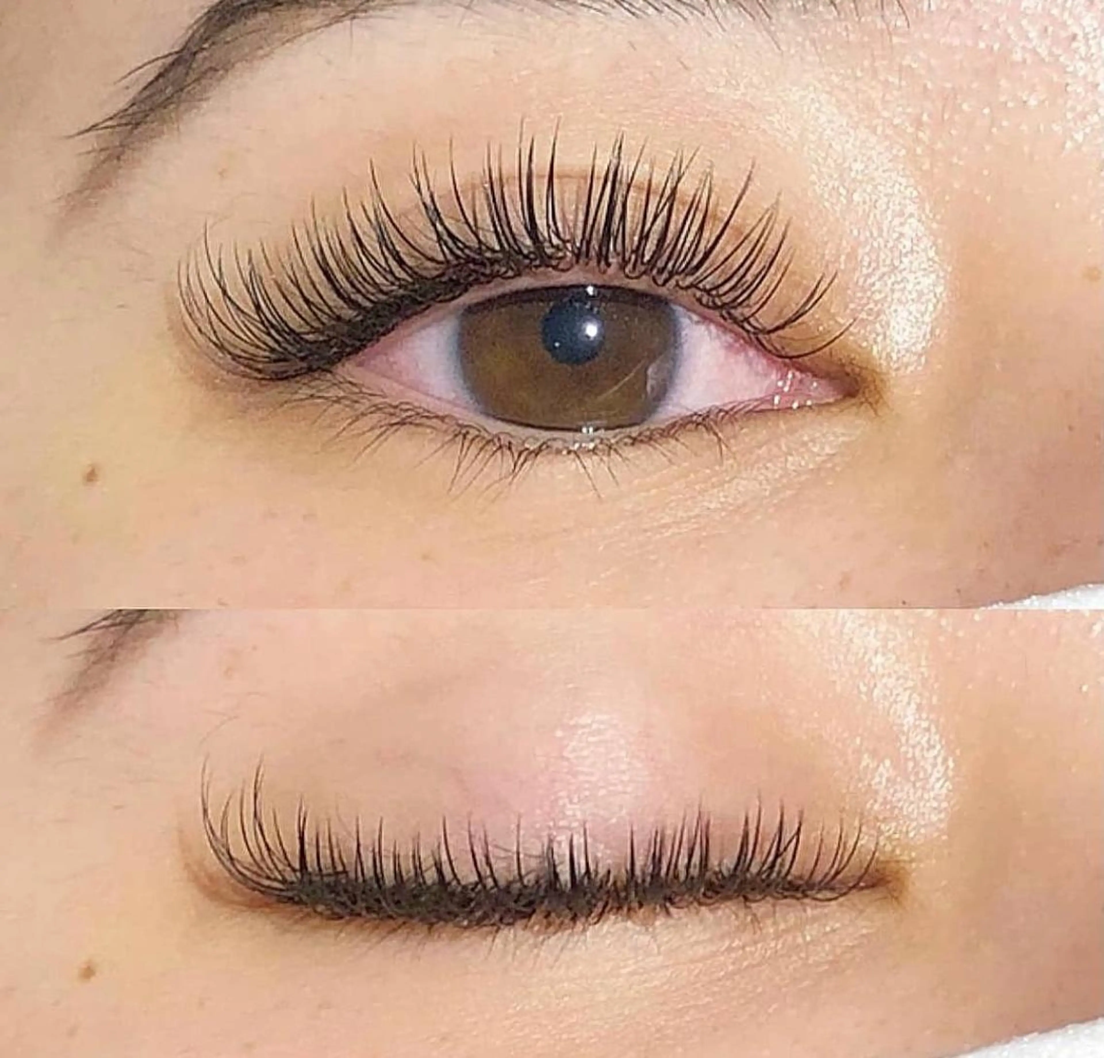 【＆healthy】アンドヘルシー(エクステ100本＋まつ毛パーマ)の写真