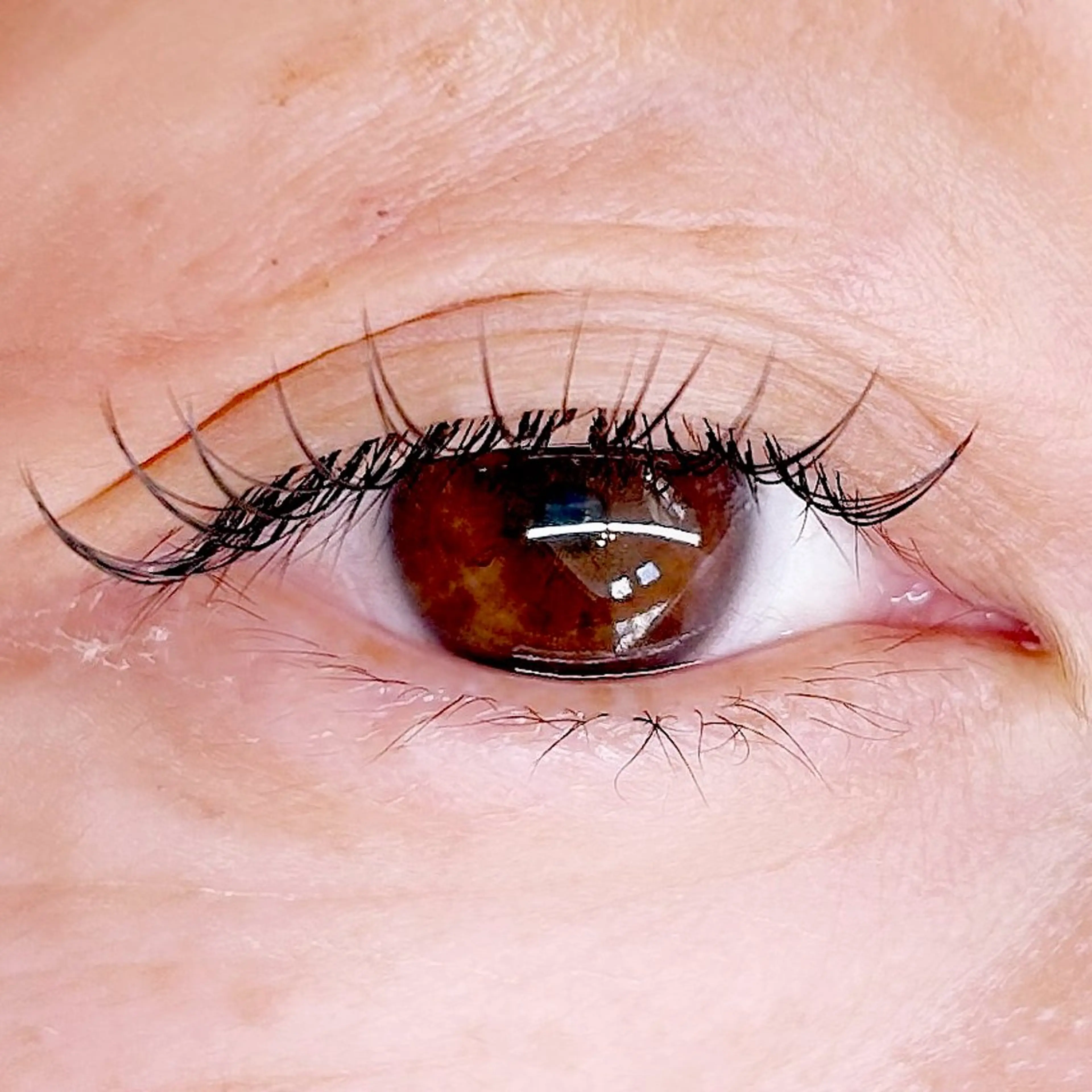 マツエク・マツパ Cカール マツエク soposilma 🧸今季OPENのマツエク・マツパデザイン