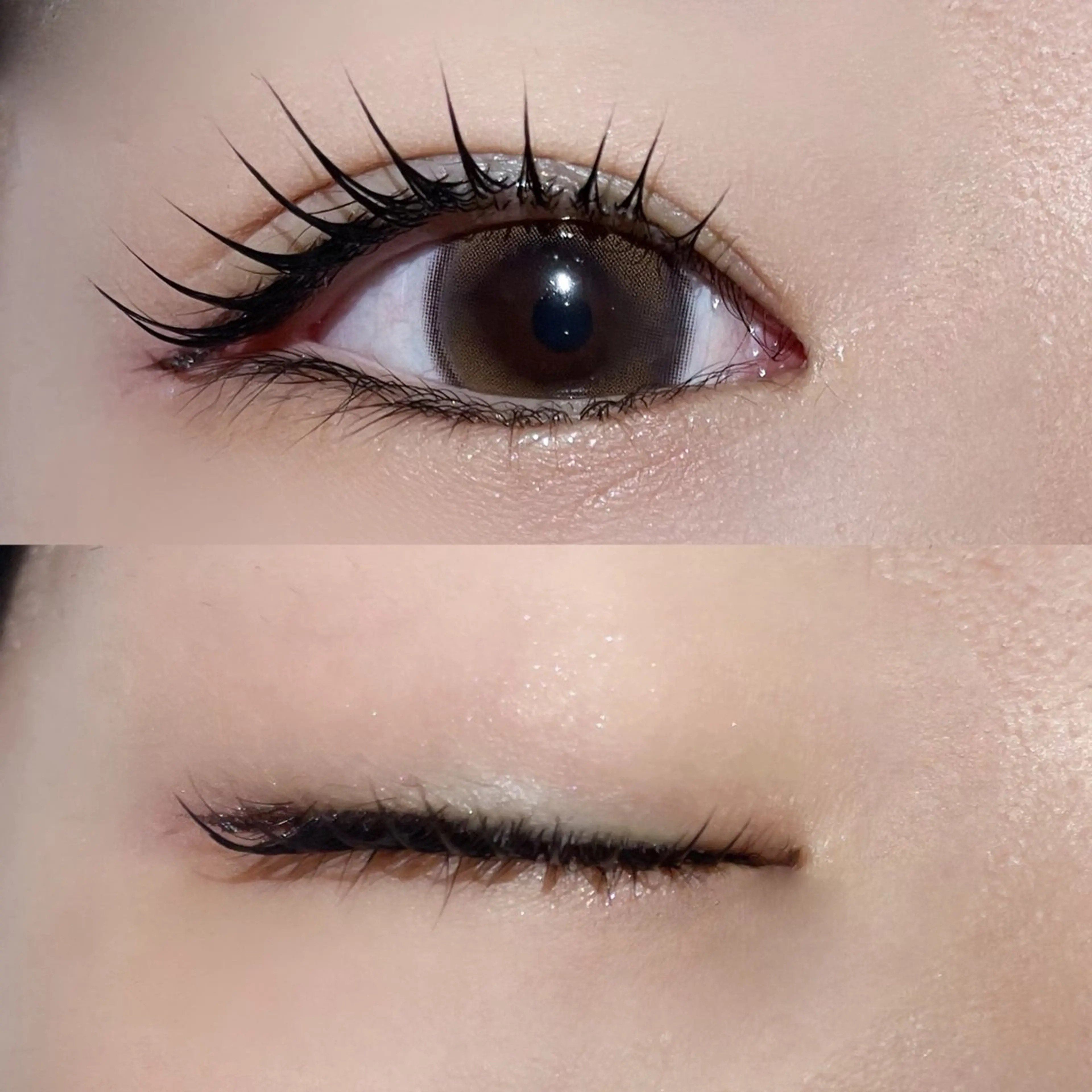 【話題の落ちないマスカラ】🦋韓国式🦋ブラックティントまつ毛パーマ¥6500→¥5500の写真