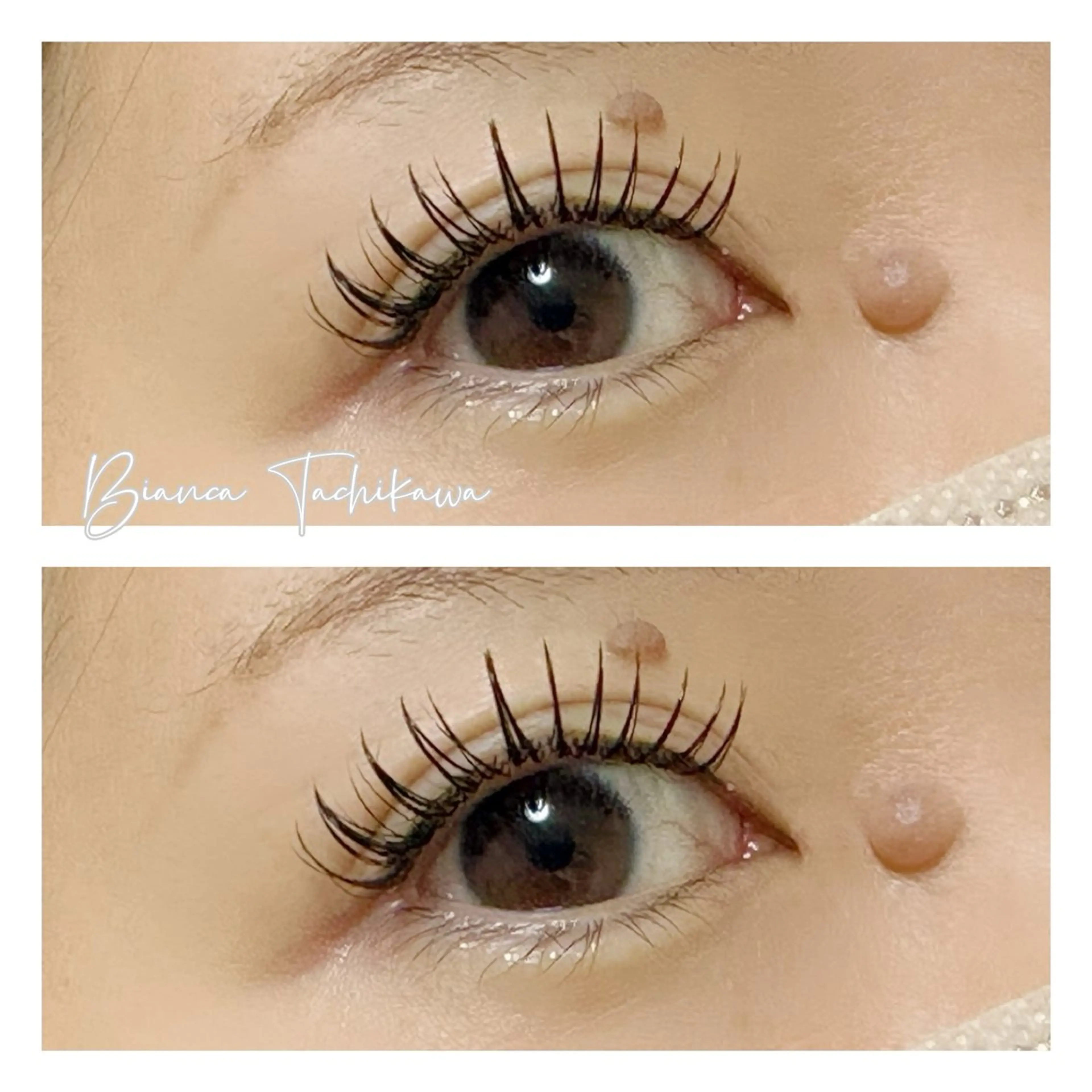 🌿フラットラッシュ100本【立川】の写真