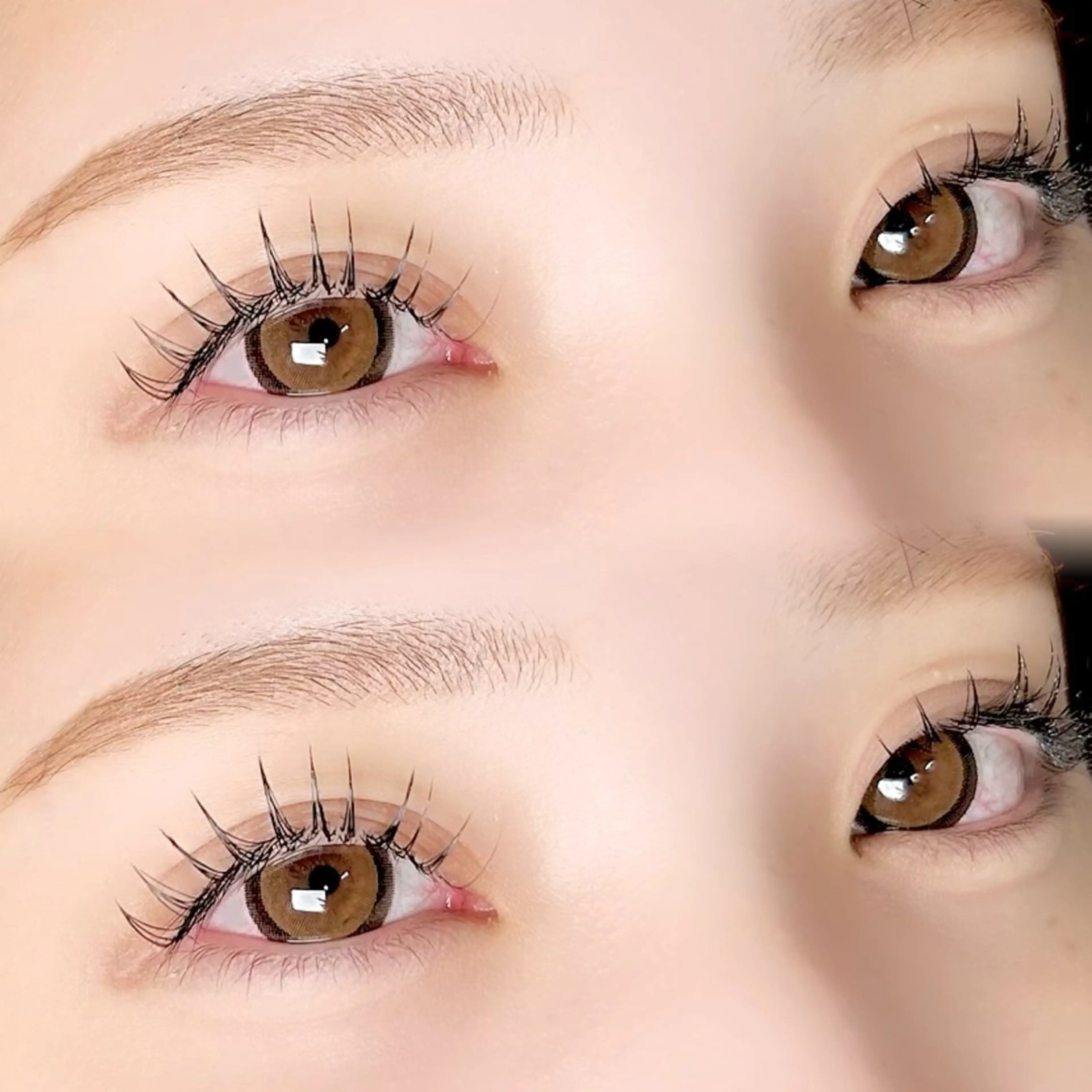 フラットラッシュ100本or120本（カラーエクステあり）の写真