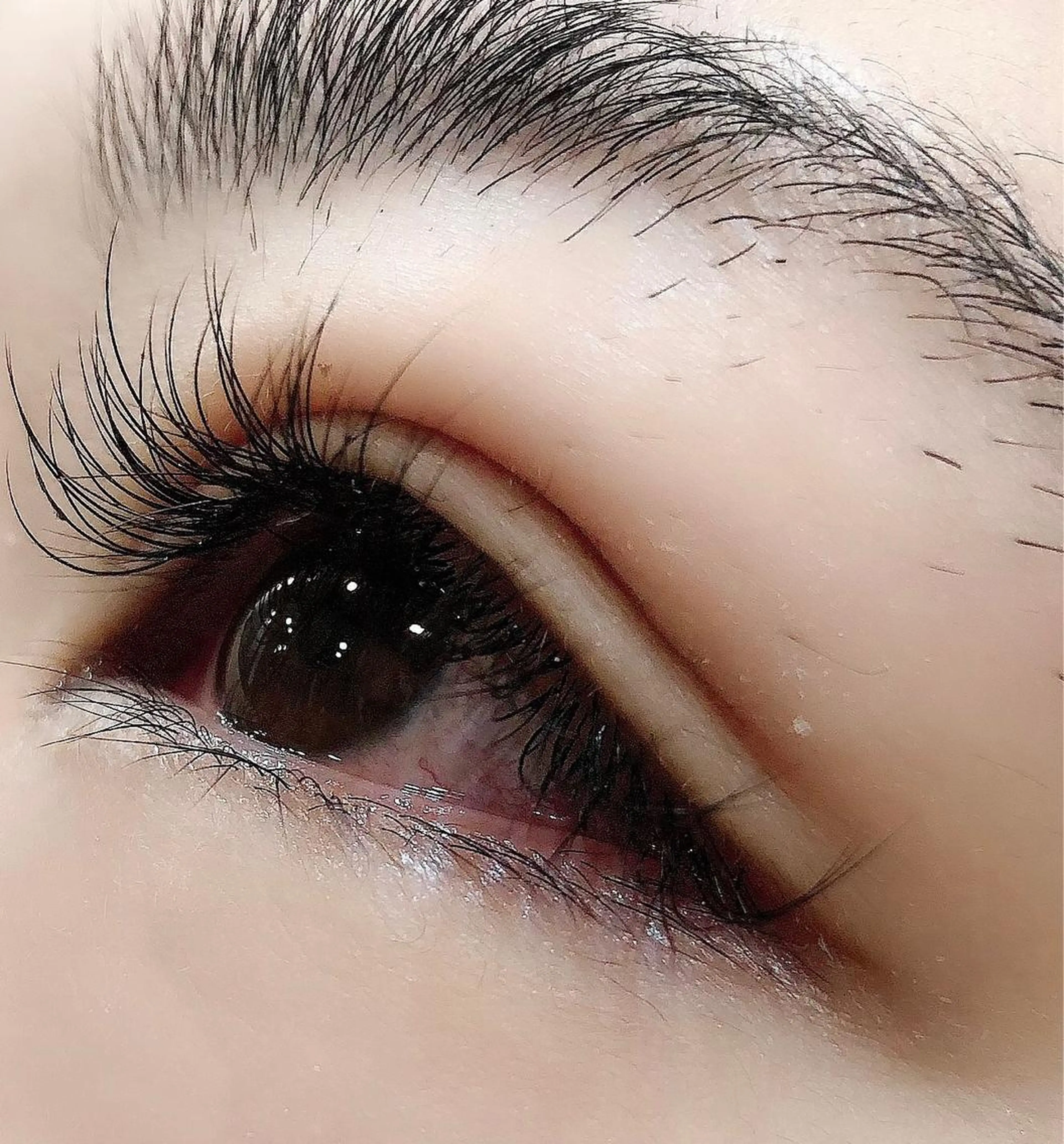 マツエク・マツパ MODEK's阿倍野 HONOKAのヘアスタイル