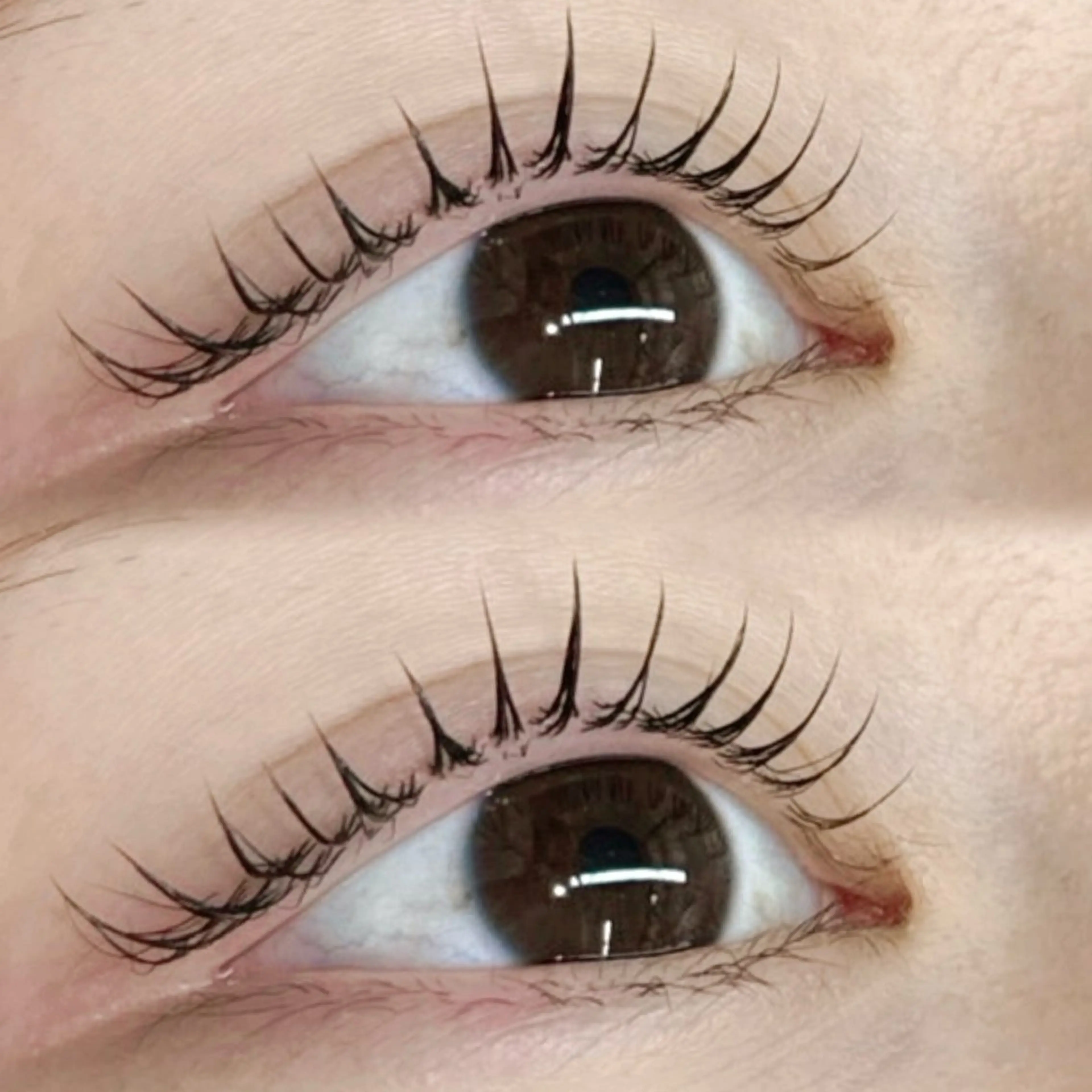 【理想のカールに♪】ラッシュリフト(まつ毛パーマ)🌷内部補修トリートメント付き🌷の写真