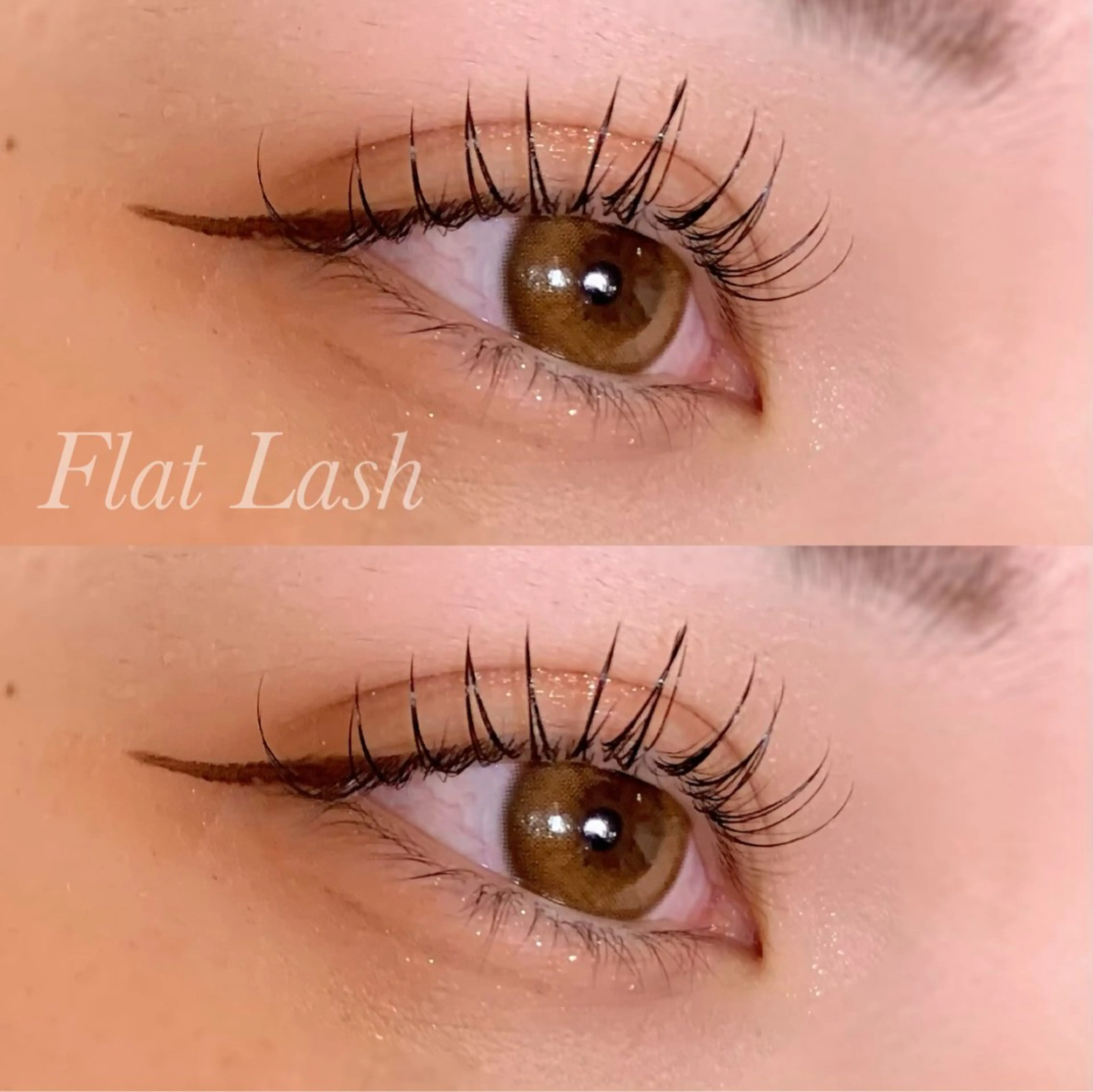 マツエク・マツパ CCカール Cカール フラットラッシュ Ayumi.pro 🍆N《4階》のマツエク・マツパデザイン