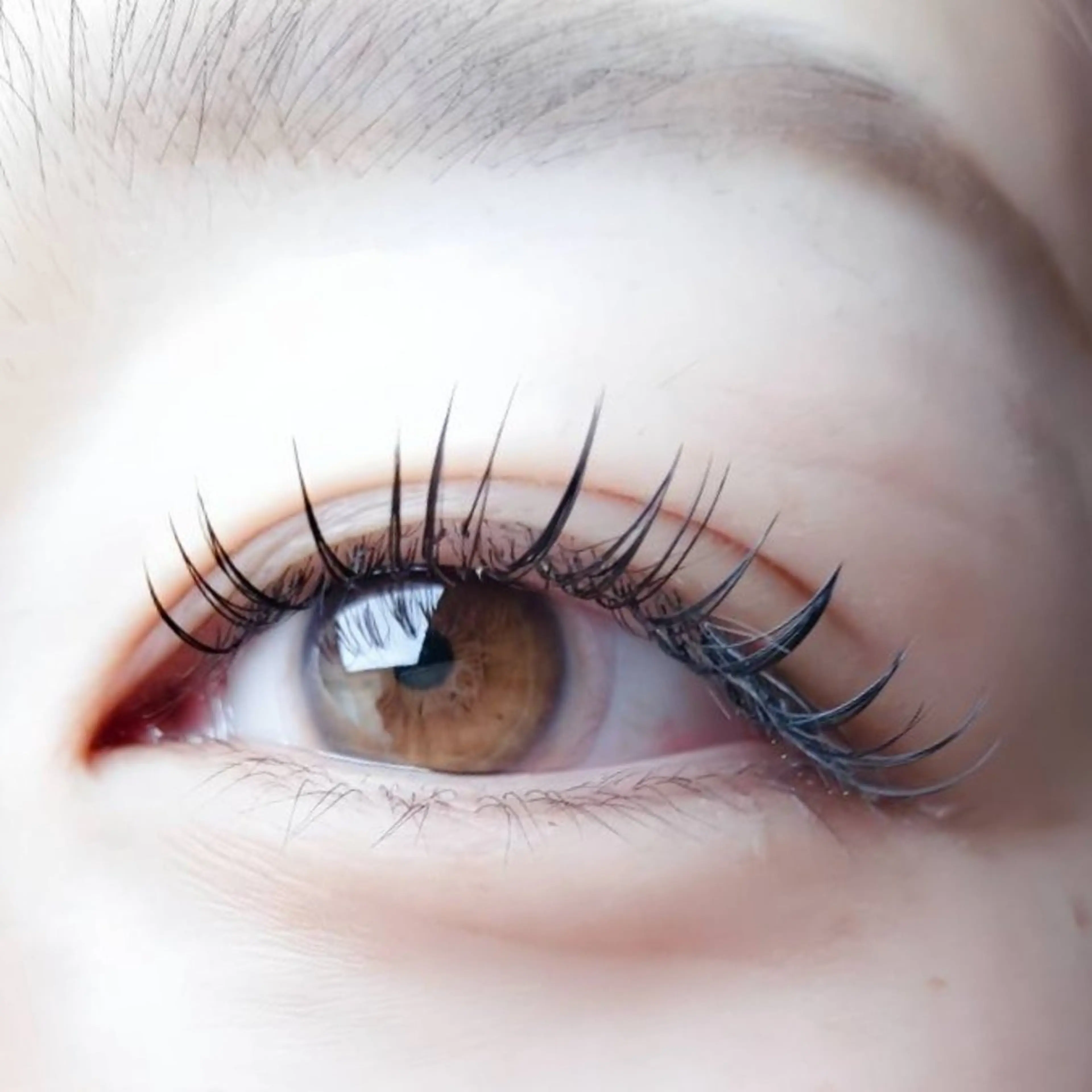 フラットマットラッシュ140本（オフ無料）の写真