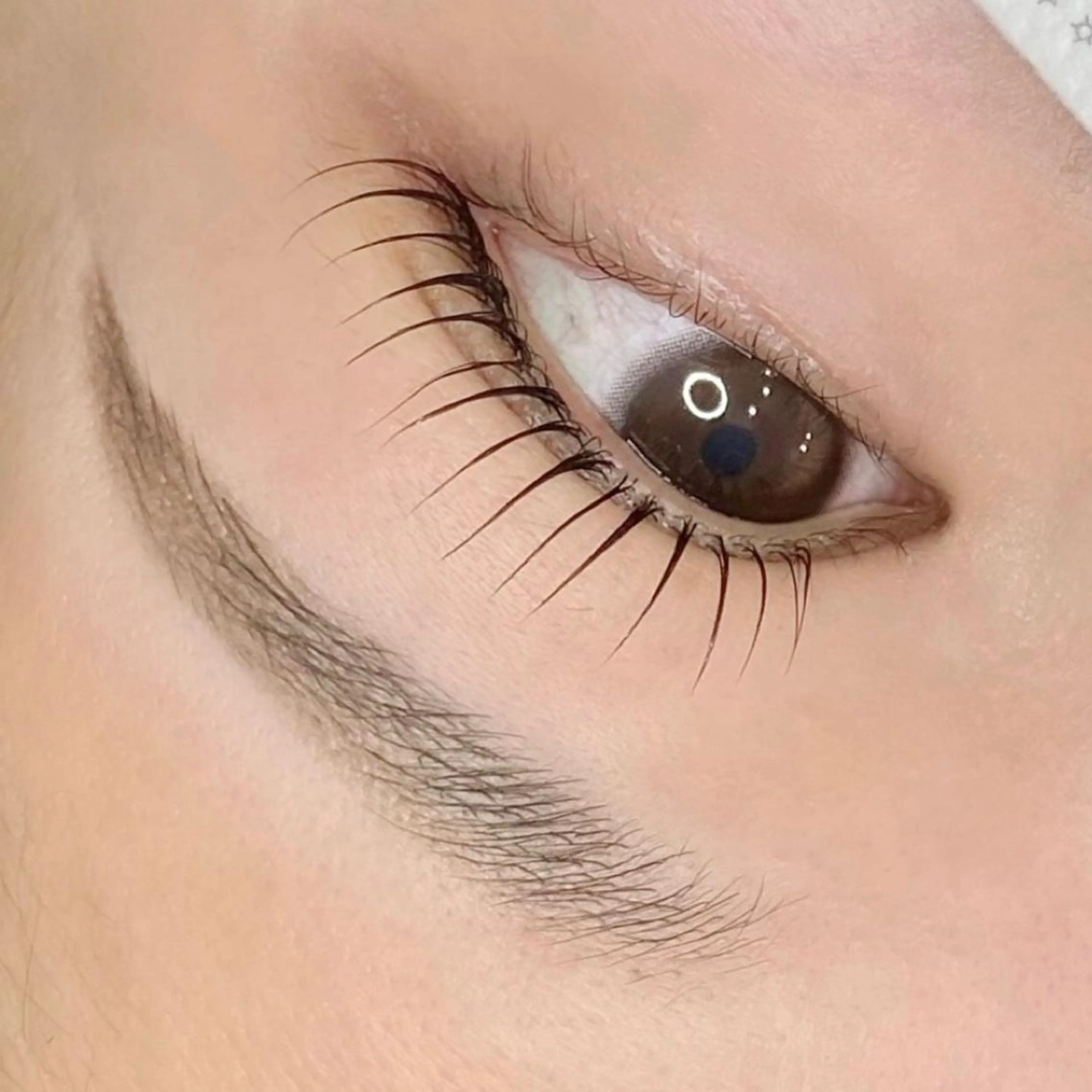 マツエク・マツパ アイブロウ パリジェンヌラッシュリフト ワックス脱毛 眉カット その他(アイブロウ) BEMOA eyelash&eyebrow所属・BEMOA 新木 毬のマツエク・マツパデザイン