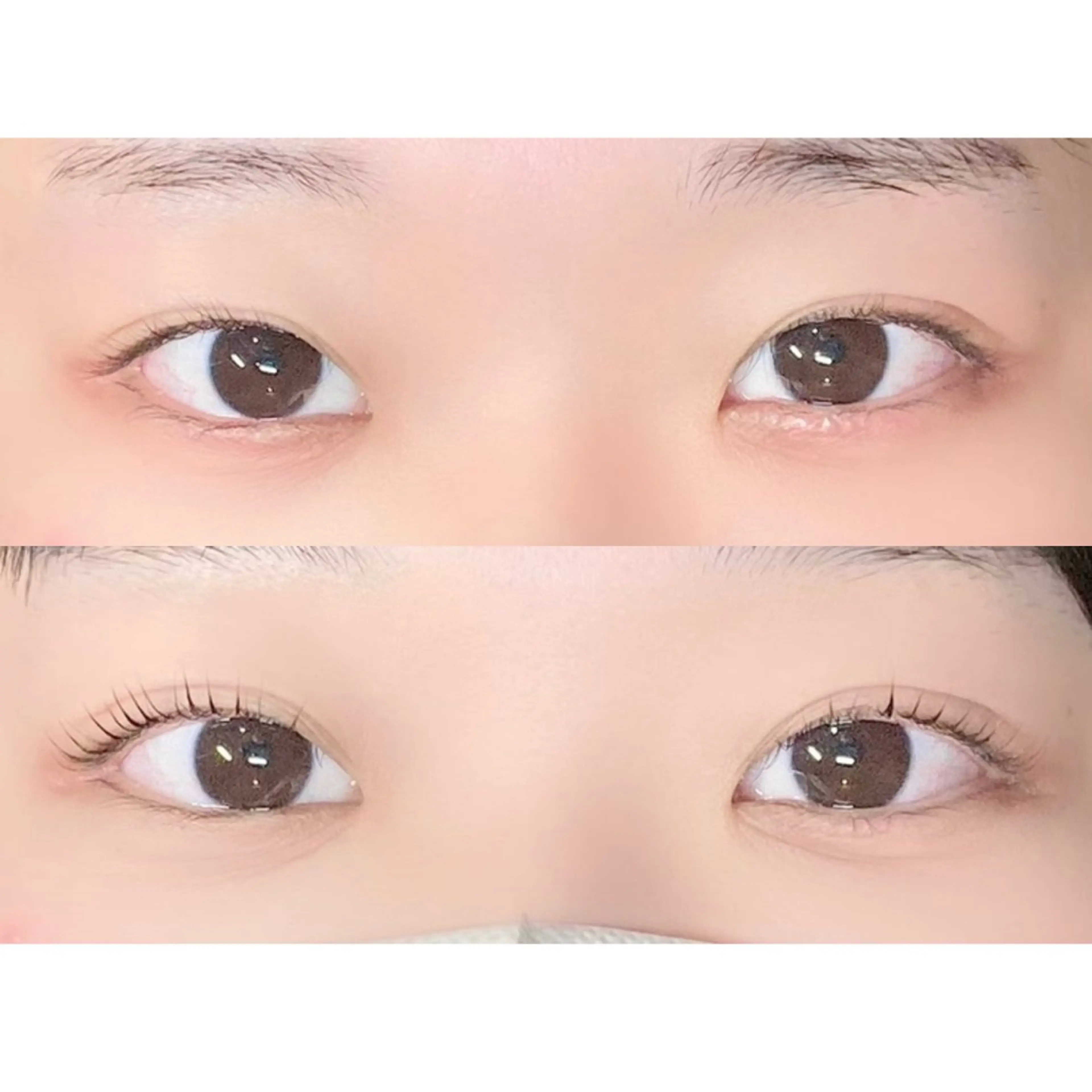 マツエク・マツパ アミーラ所属・Amira/アミーラ YU-KA🤍のマツエク・マツパデザイン