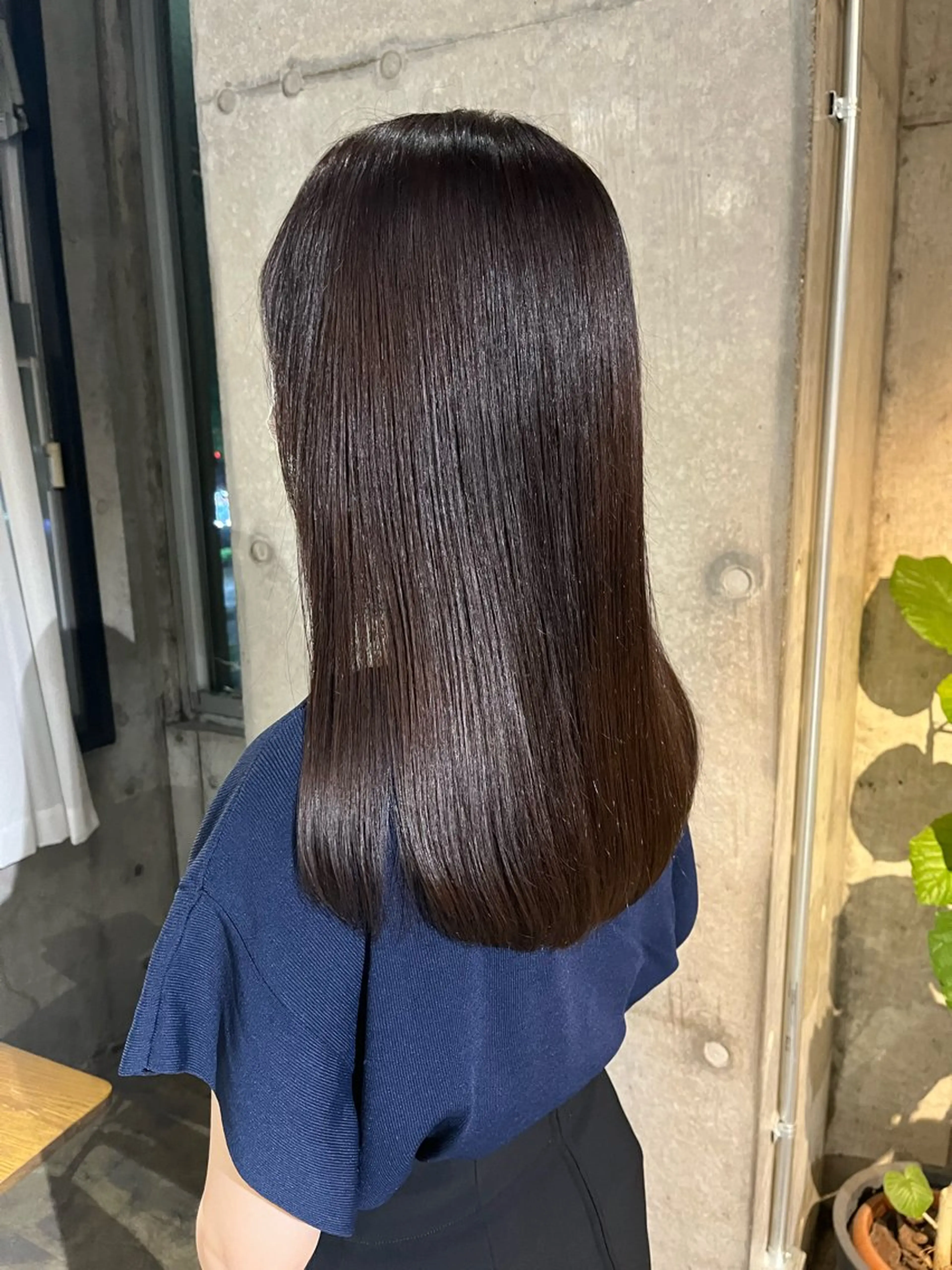 50％オフ！透明感ワンカラーの写真