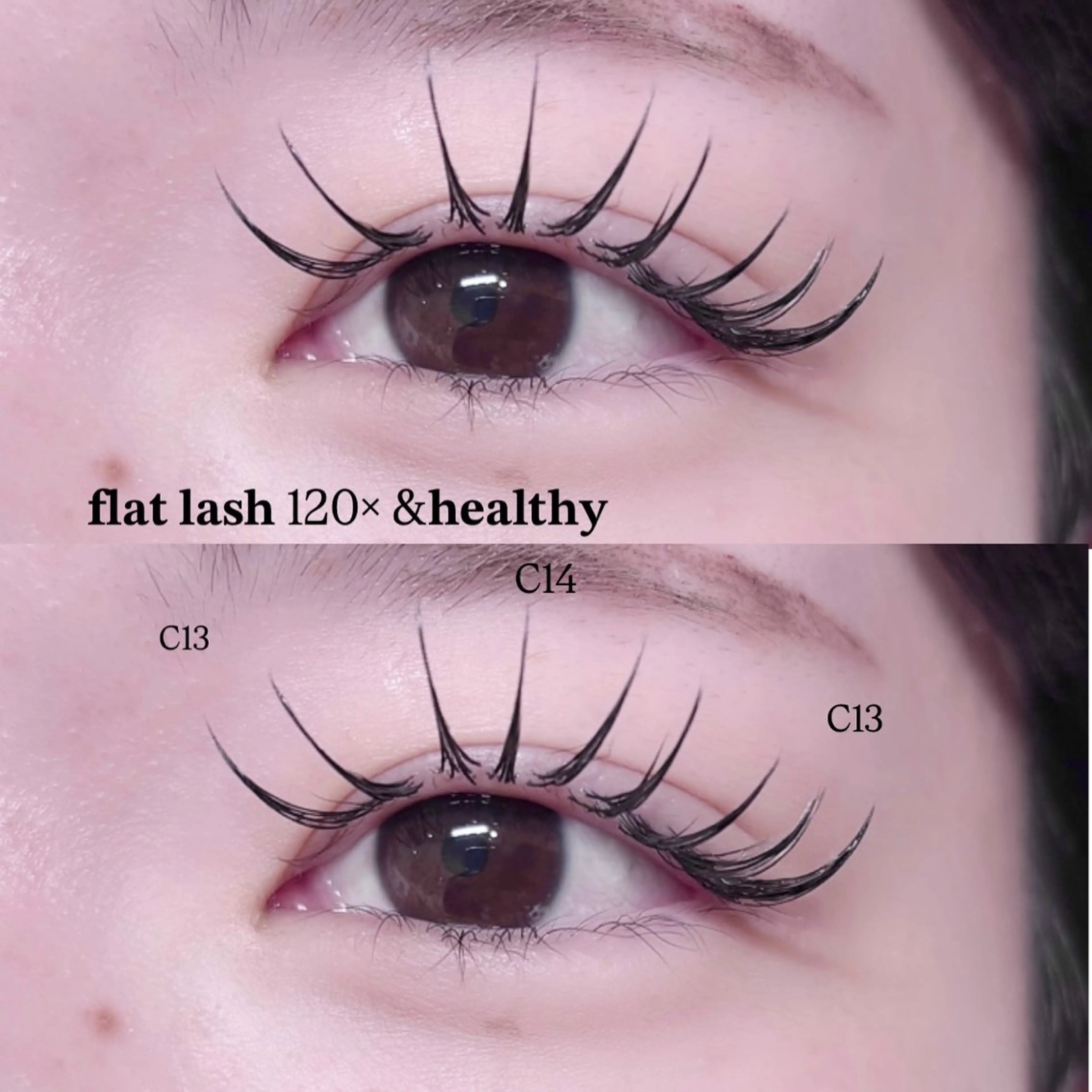 次世代パリエク⭐︎アンドヘルシー120本✨の写真