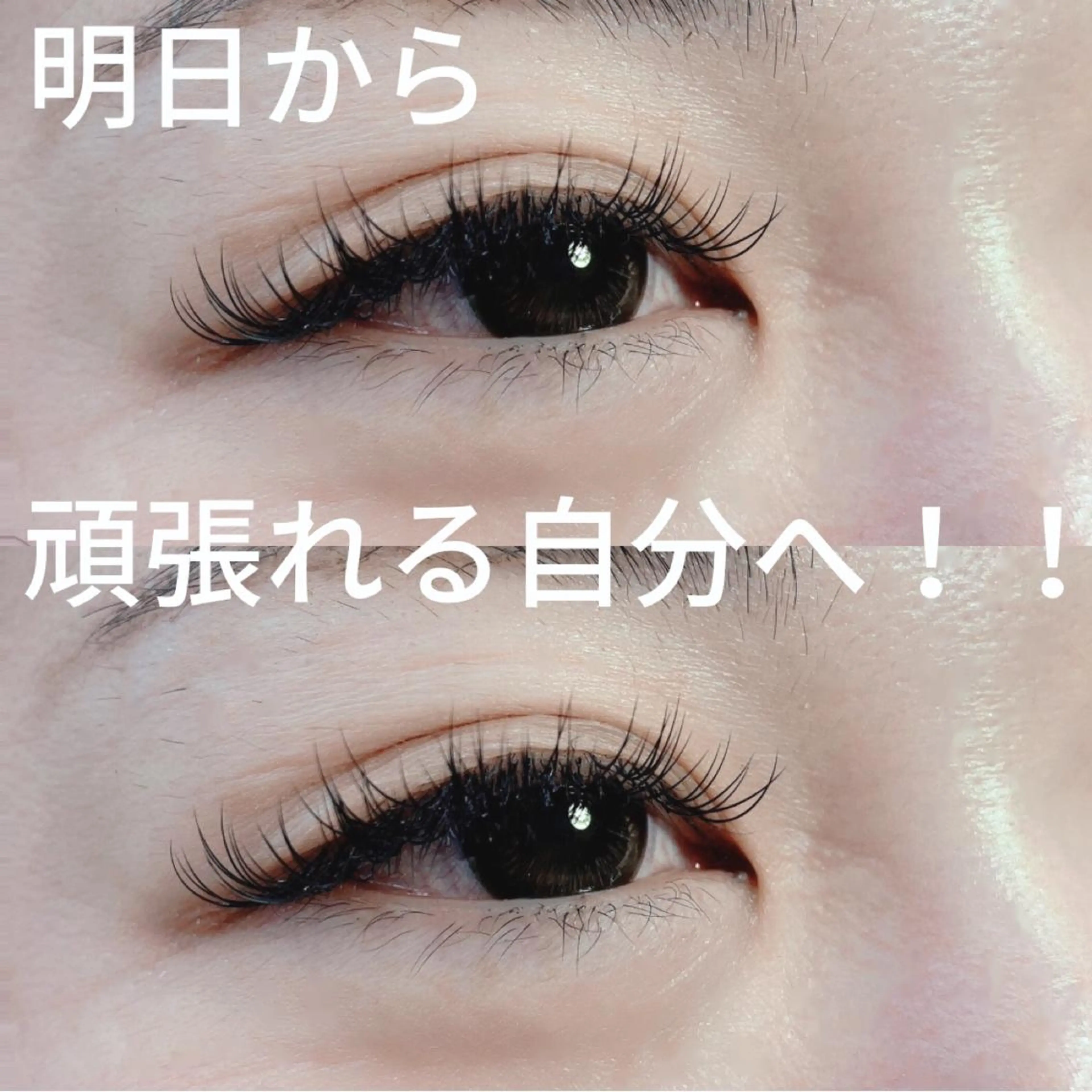 マツエク・マツパ 付け放題 Pilina eyelashのマツエク・マツパデザイン