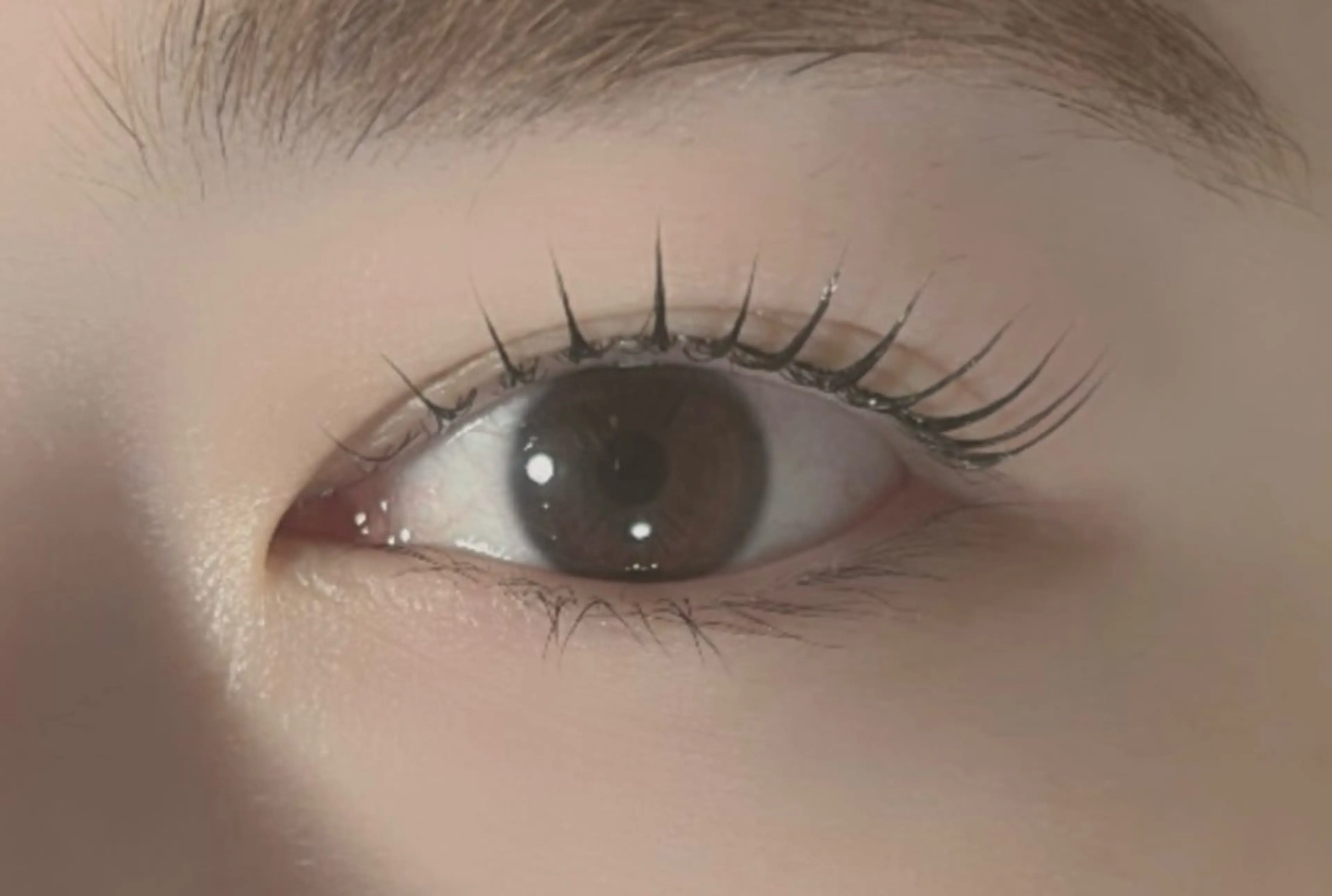 マツエク・マツパ マツパ マリーテレジア 🐨MIURAのマツエク・マツパデザイン