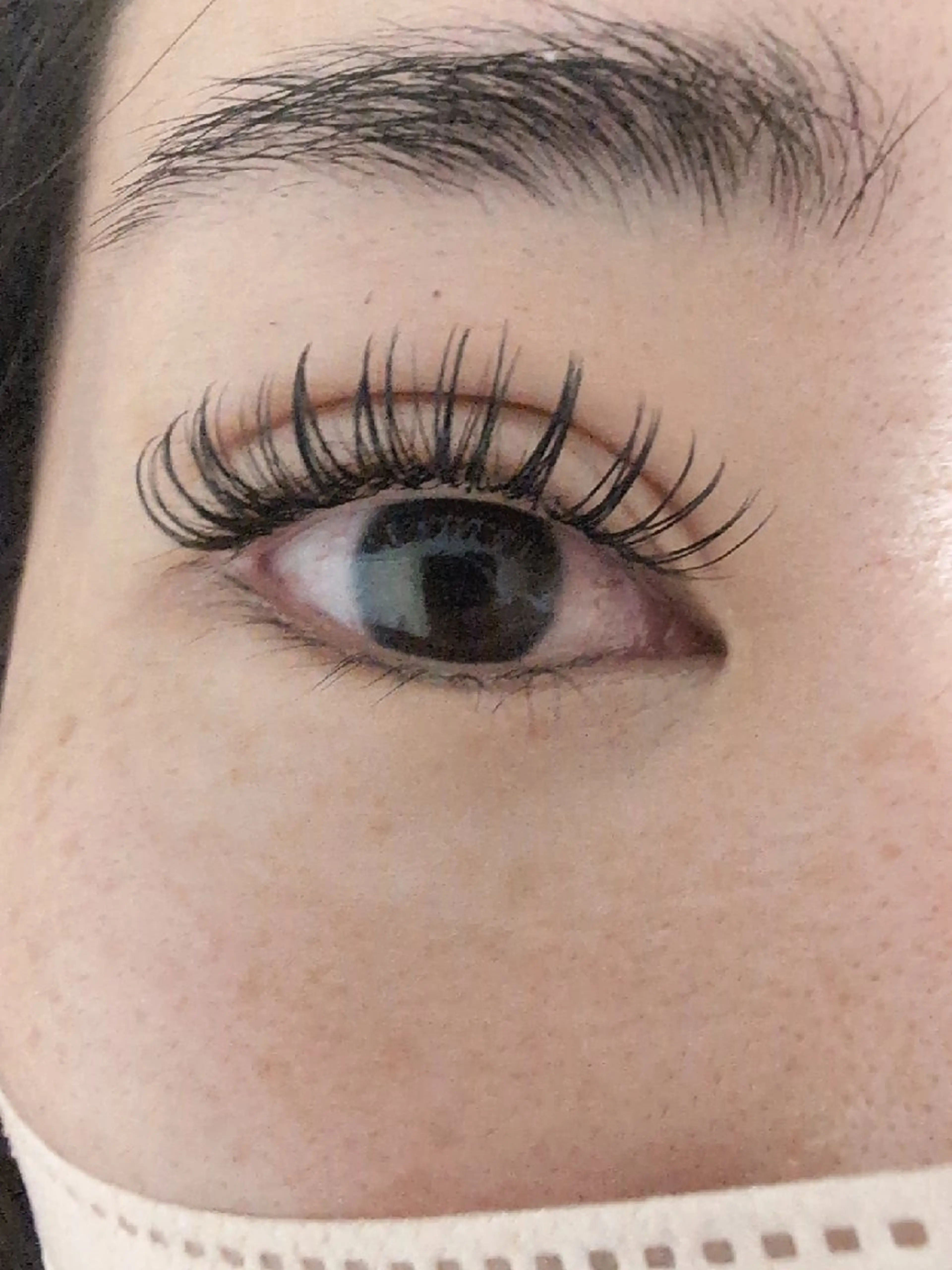 パリエク　パリジェンヌ+フラットラッシュ120本の写真