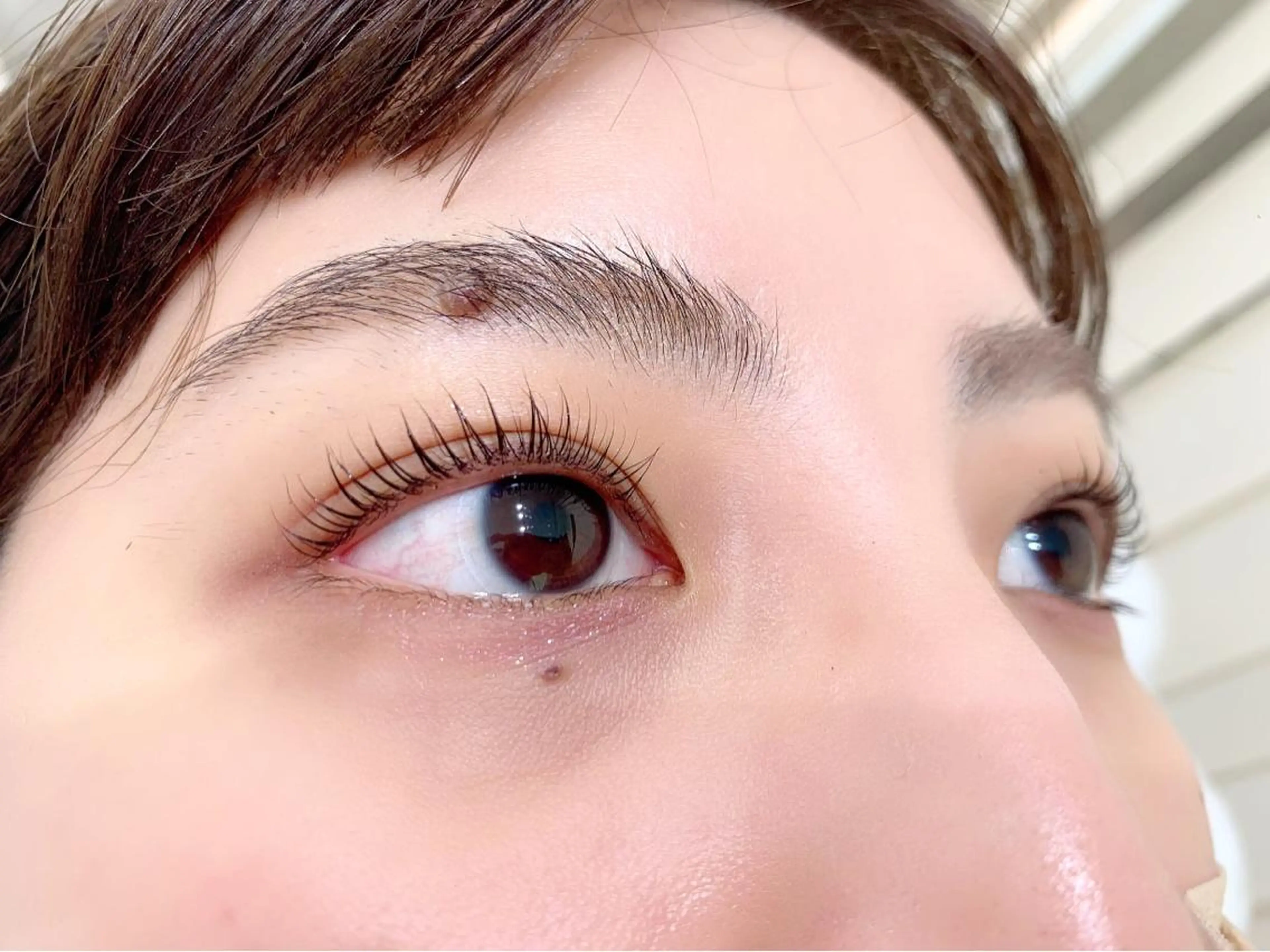 マツエク・マツパ アイブロウ MY  SALON yokohama🌻のマツエク・マツパデザイン