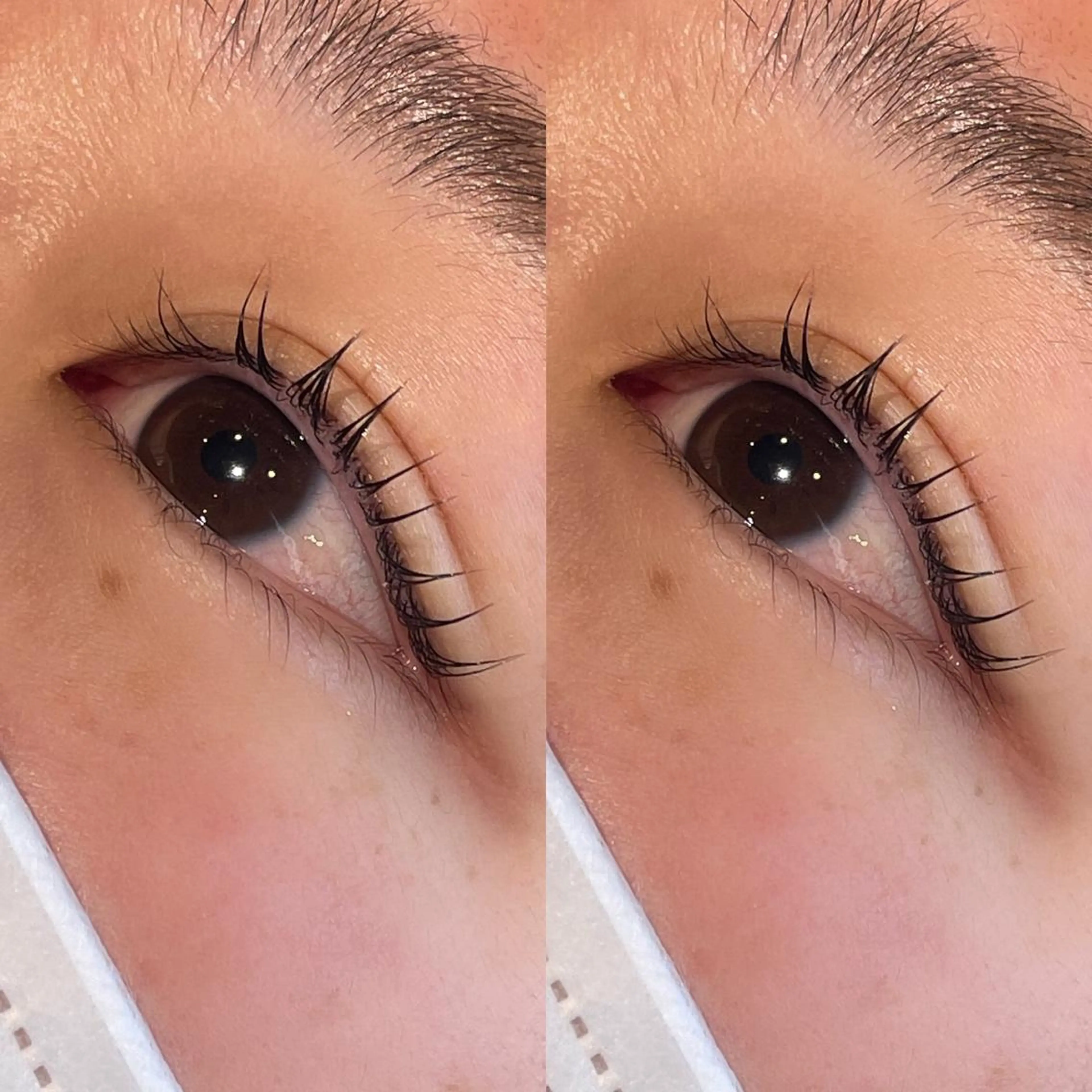 マツエク・マツパ マツパ 桑田 新菜のヘアスタイル